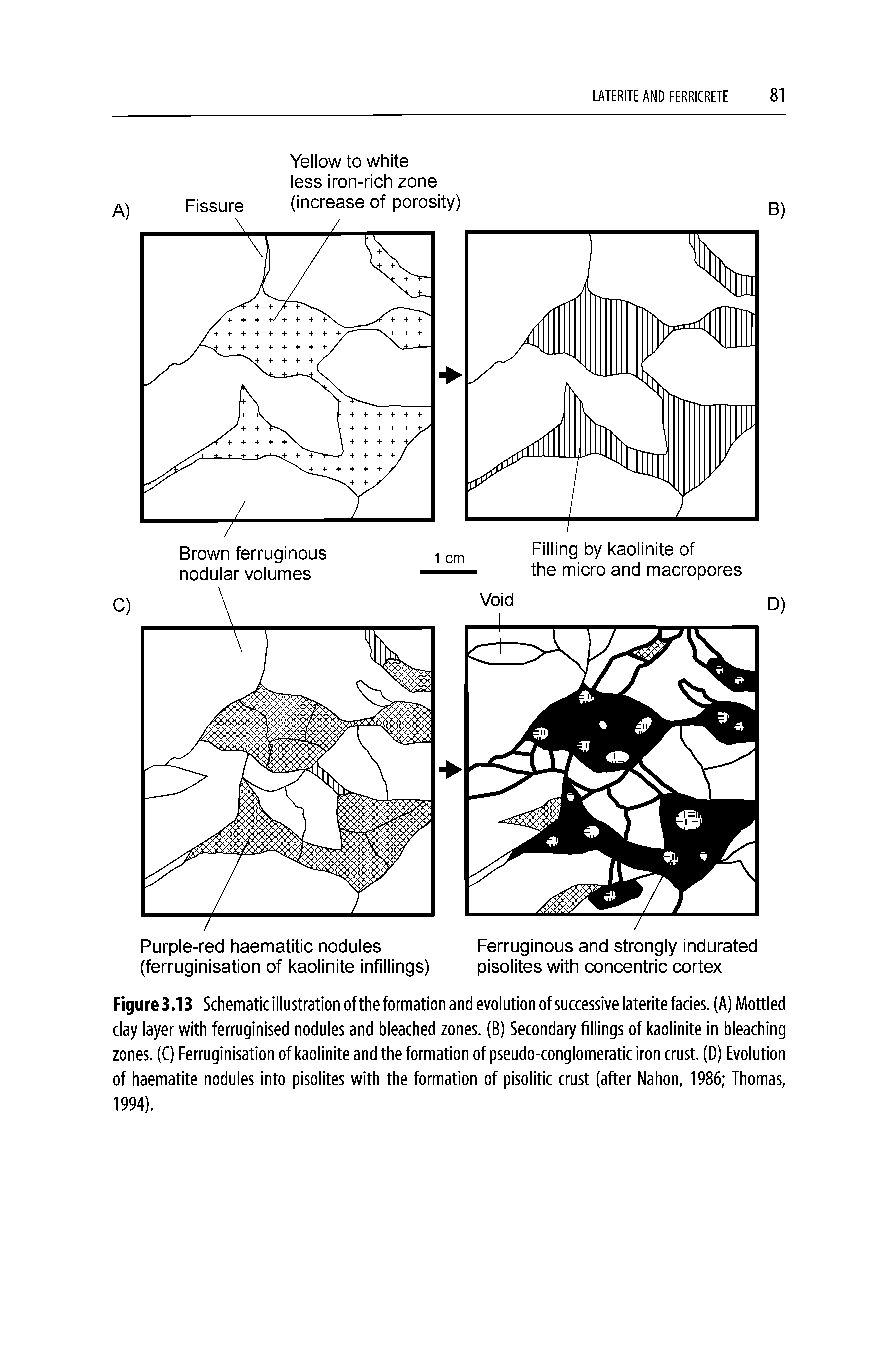 Figure 3.13 Schematic illustration of the formation and evolution of successive laterite facies. (A) Mottled clay layer with ferruginised nodules and bleached zones. (B) Secondary fillings of kaolinite in bleaching zones. (C) Ferruginisation of kaolinite and the formation of pseudo-conglomeratic iron crust. (D) Evolution of haematite nodules into pisolites with the formation of pisolitic crust (after Nahon, 1986 Thomas, 1994).