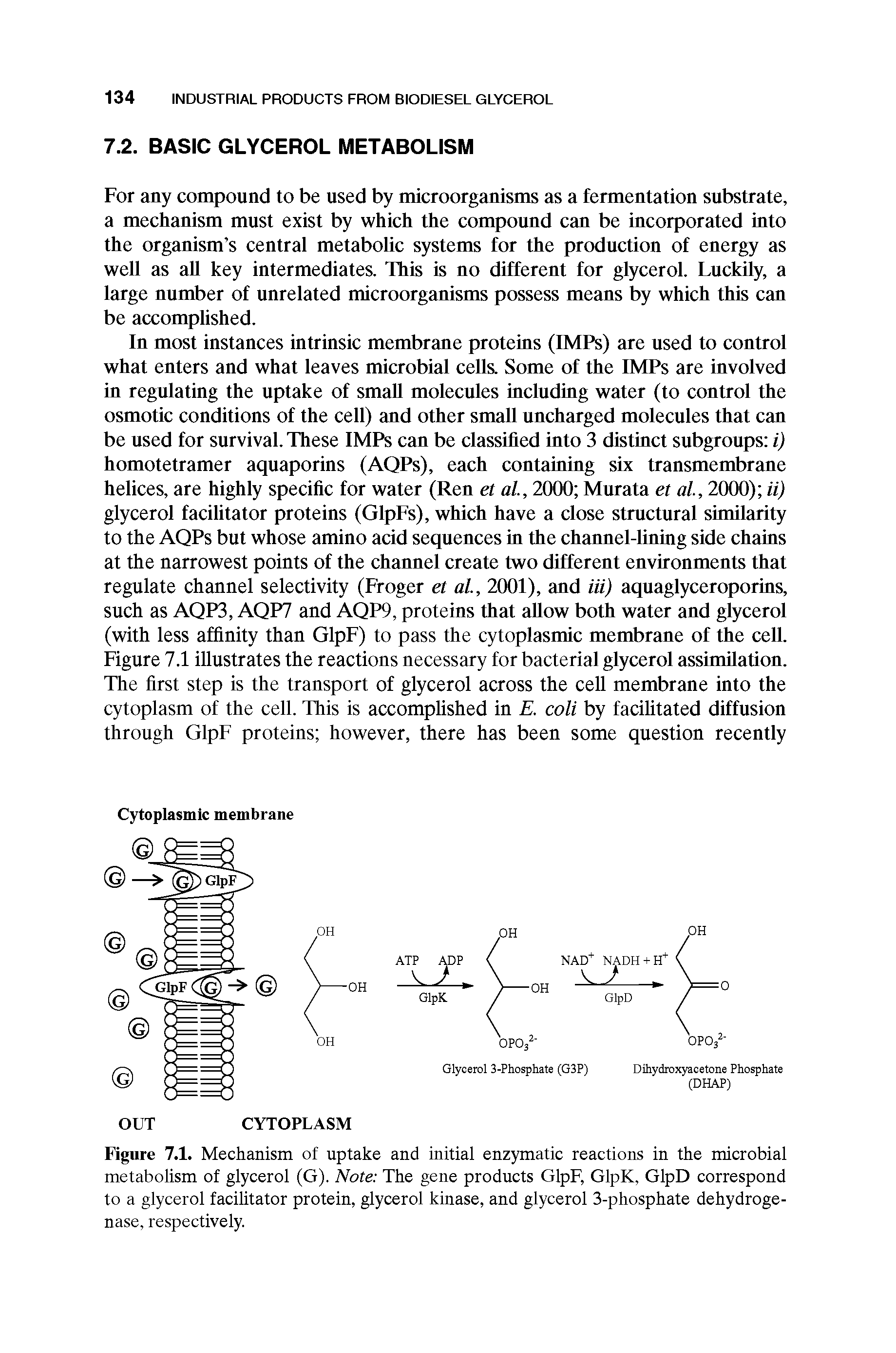 Figure 7.1. Mechanism of uptake and initial enzymatic reactions in the microbial metabolism of glycerol (G). Note The gene products GlpF, GlpK, GlpD correspond to a glycerol facilitator protein, glycerol kinase, and glycerol 3-phosphate dehydrogenase, respectively.