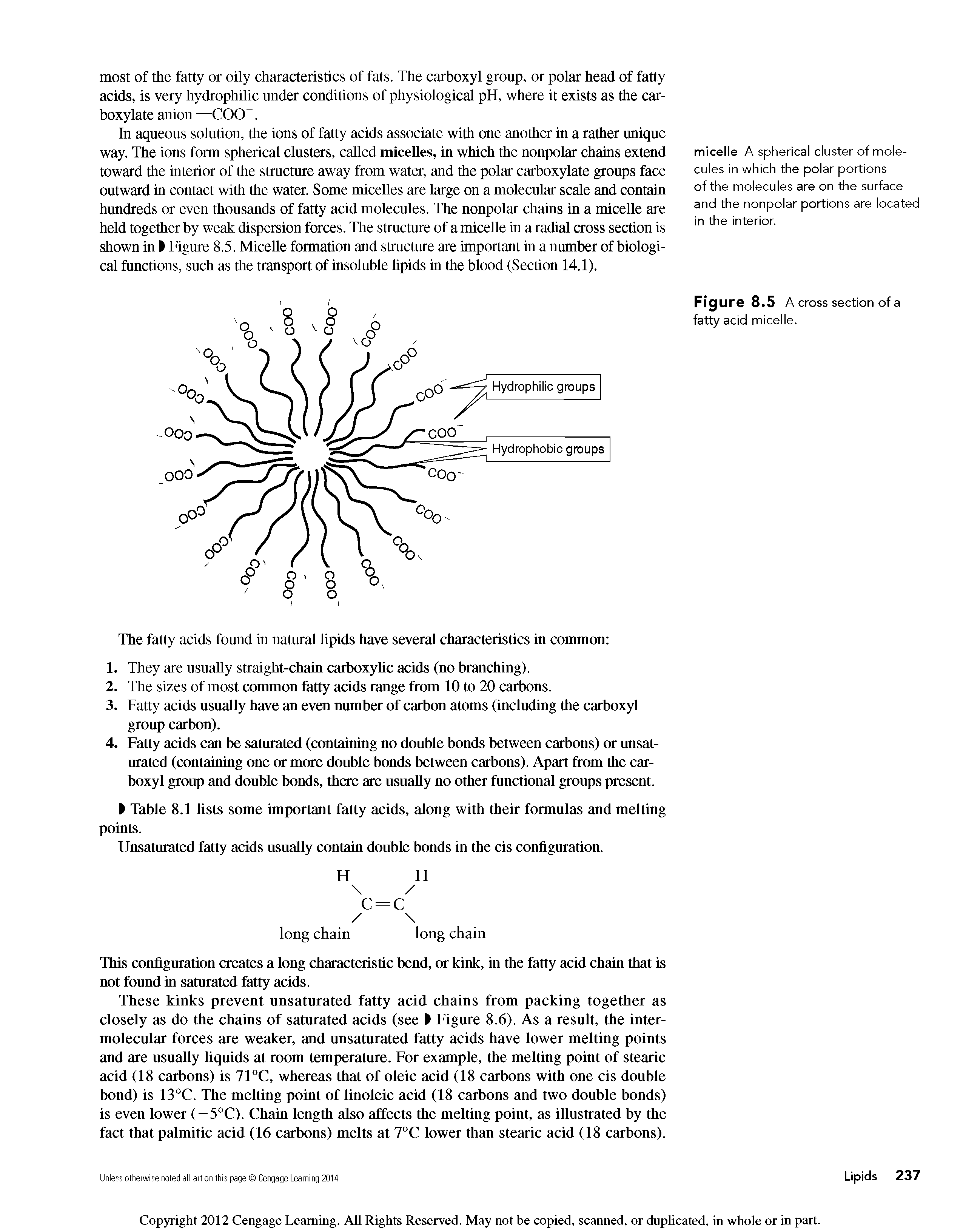 Figure 8.5 A cross section of a fatty acid micelle.