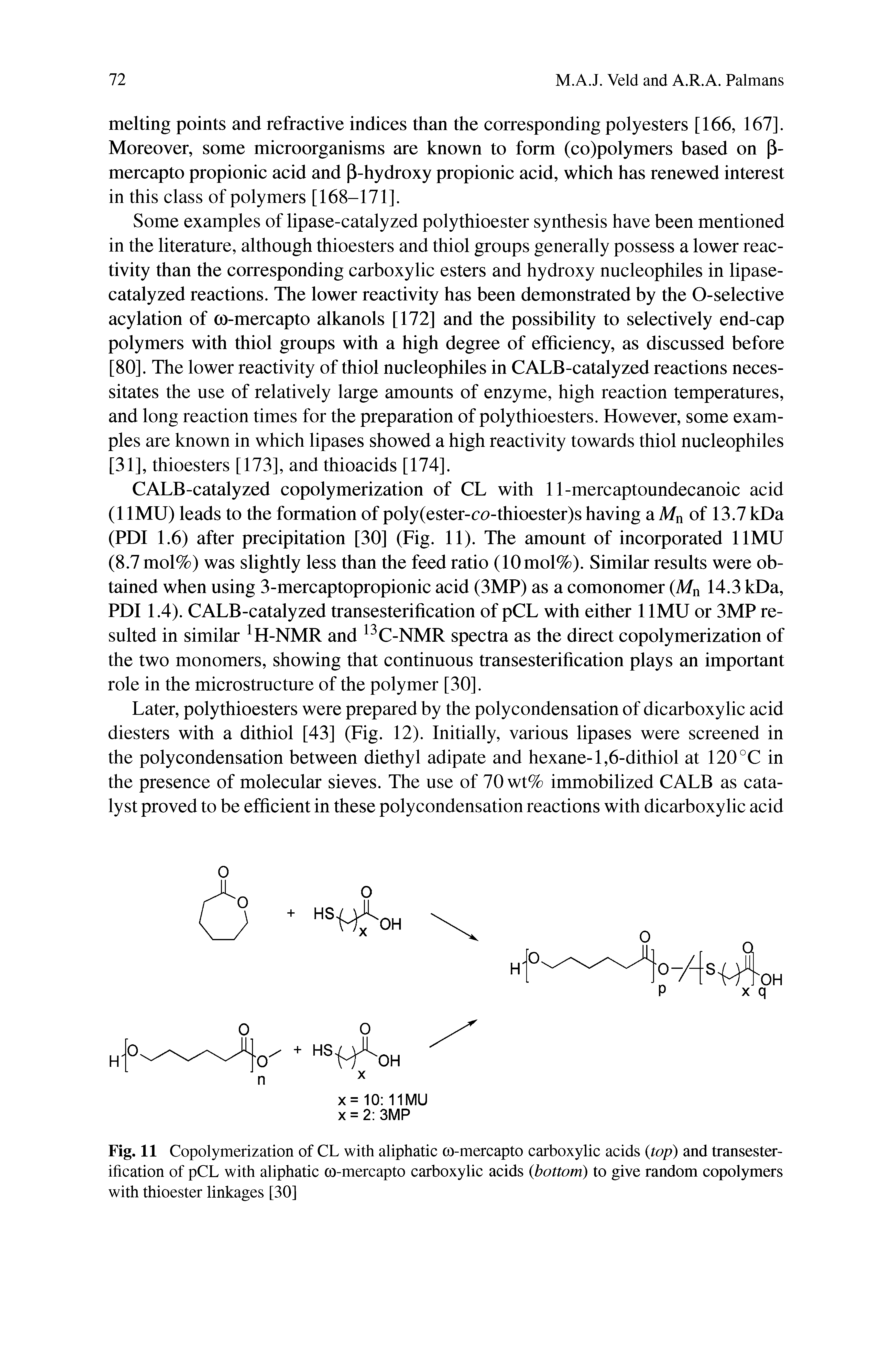 Fig. 11 Copolymerization of CL with aliphatic co-mercapto carboxylic acids (top) and transesterification of pCL with aliphatic co-mercapto carboxylic acids (bottom) to give random copolymers with thioester linkages [30]...