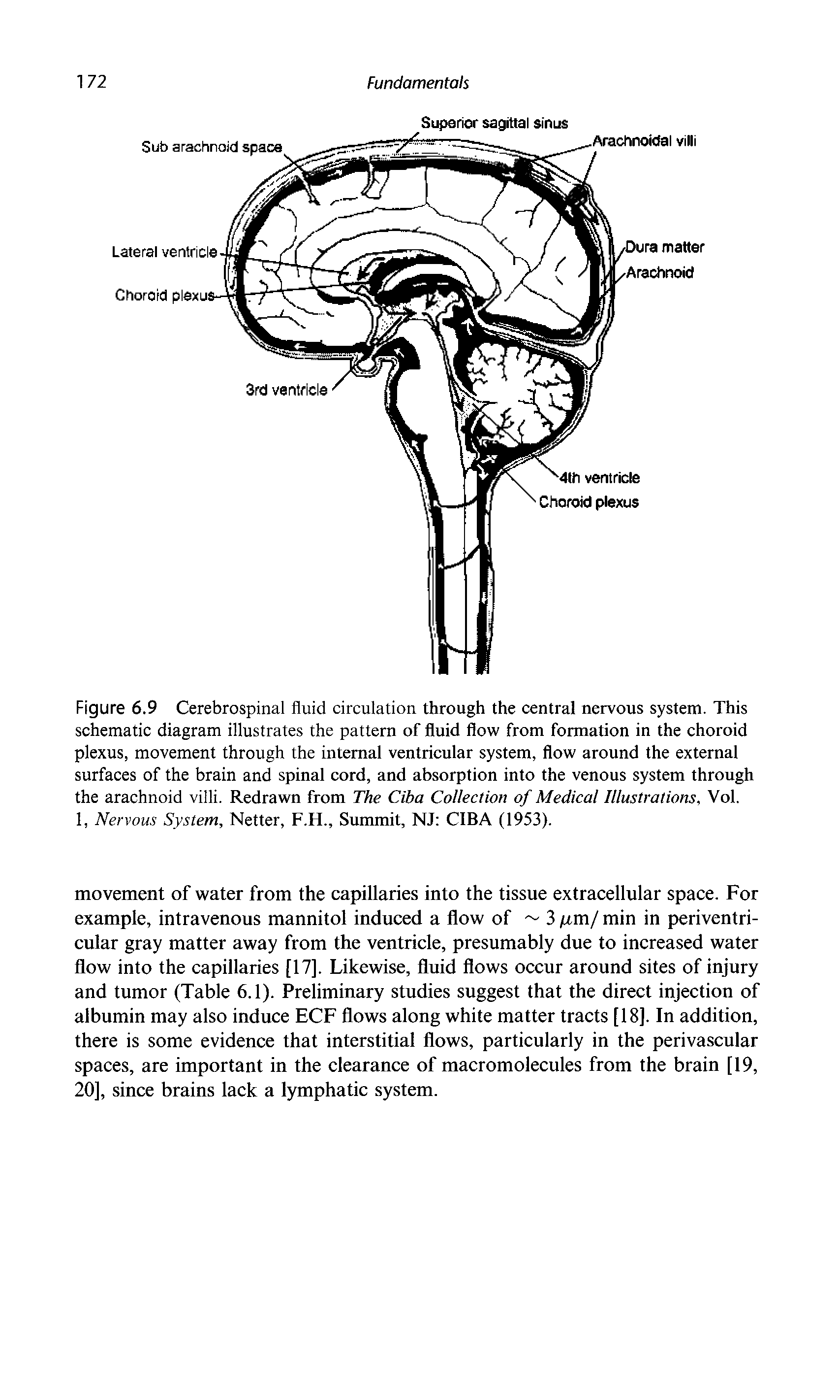 Figure 6.9 Cerebrospinal fluid circulation through the central nervous system. This schematic diagram illustrates the pattern of fluid flow from formation in the choroid plexus, movement through the internal ventricular system, flow around the external surfaces of the brain and spinal cord, and absorption into the venous system through the arachnoid villi. Redrawn from The Ciba Collection of Medical Illustrations, Vol.