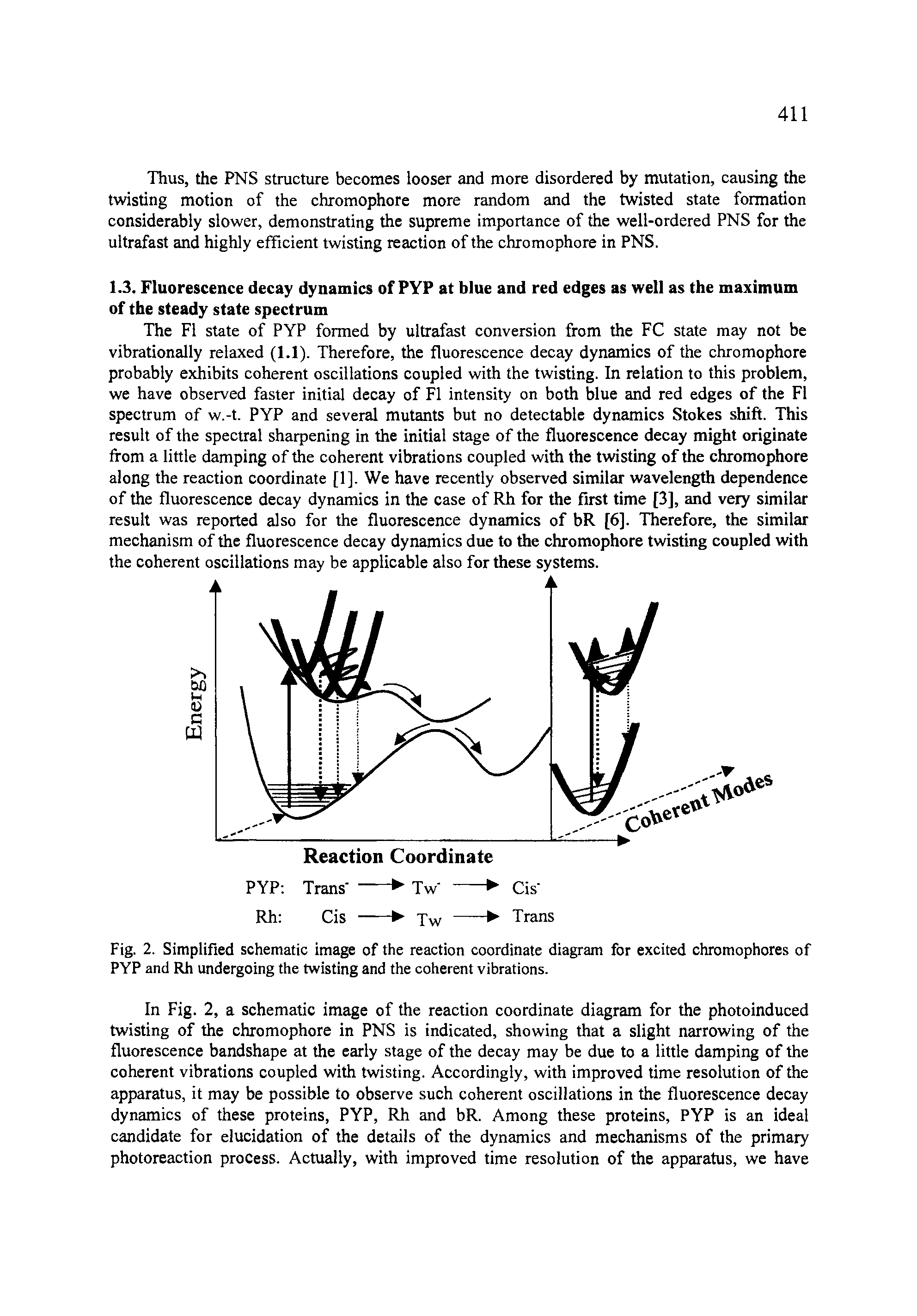 Fig. 2. Simplified schematic image of the reaction coordinate diagram for excited chromophores of PYP and Rh undergoing the twisting and the coherent vibrations.