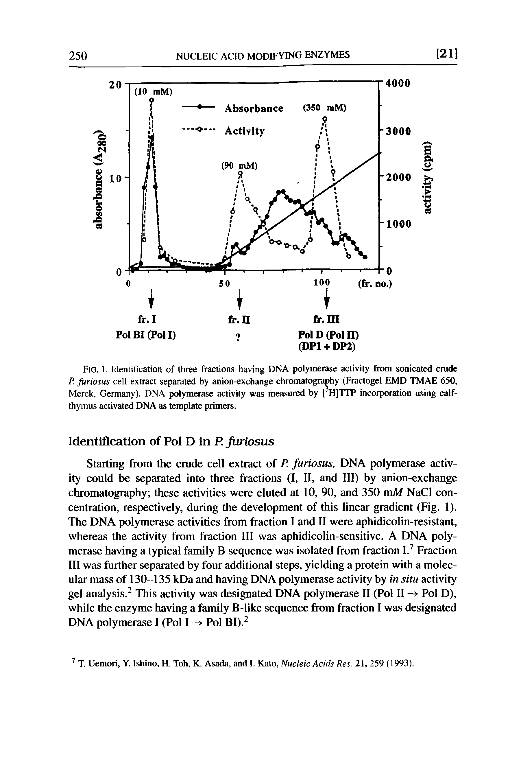 Fig. 1. Identification of three fractions having DNA polymerase activity fipom sonicated crude P. furiosus cell extract separated by anion-exchange chromatography (Fiactogel EMD TMAE 650, Merck, Germany). DNA polymerase activity was measured by [ ]TTP incorporation using calf-thymus activated DNA as template primers.