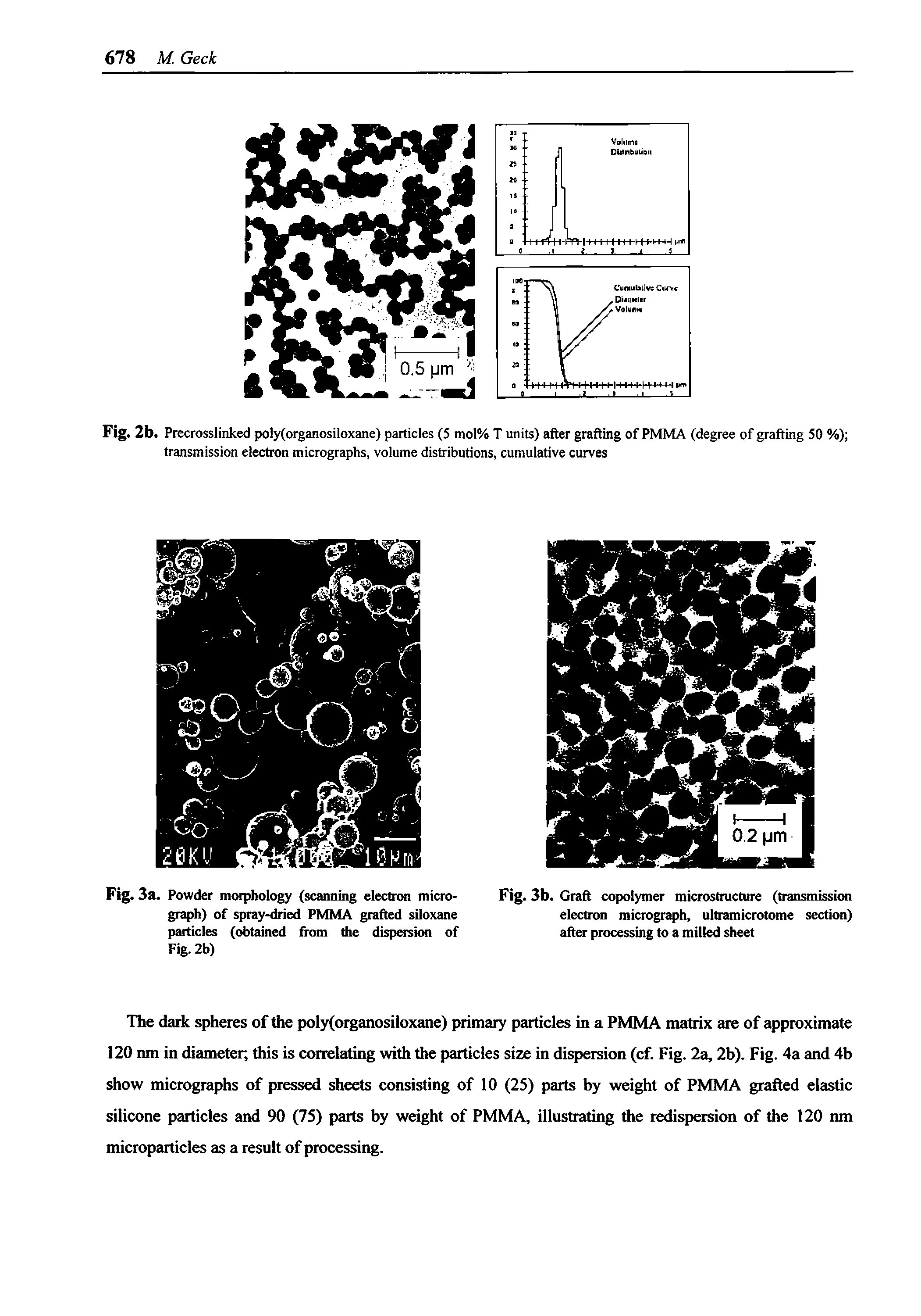 Fig. 3a. Powder morphology (scanning electron micrograph) of spray-dried PMMA grafted siloxane particles (obtained from the dispersion of Fig. 2b)...