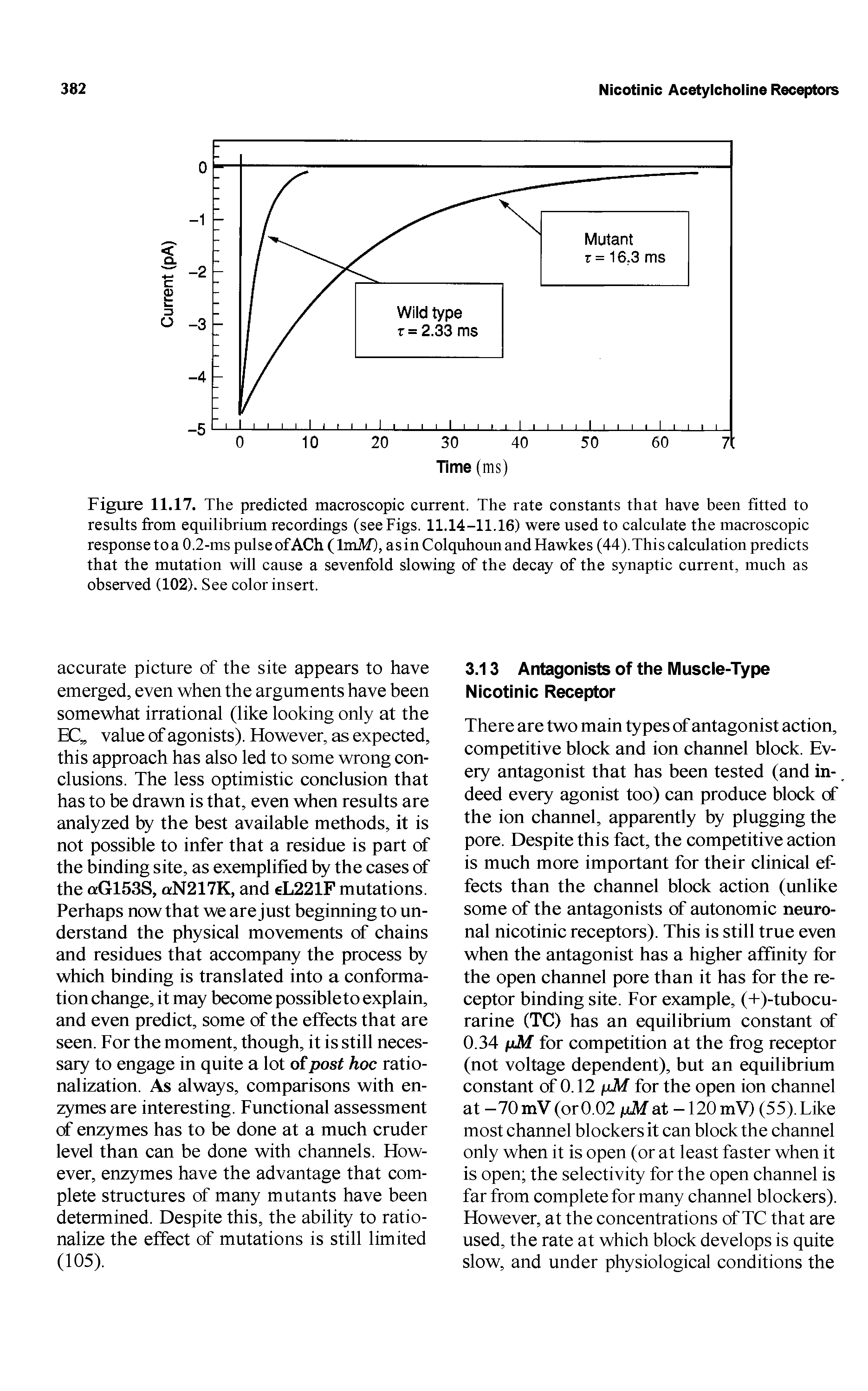 Figure 11.17. The predicted macroscopic current. The rate constants that have been fitted to results from equilibrium recordings (see Figs. 11.14-11.16) were used to calculate the macroscopic response to a 0.2-ms pulse of ACh (ImM), as in Colquhoun and Hawkes (44). This calculation predicts that the mutation will cause a sevenfold slowing of the decay of the synaptic current, much as observed (102). See color insert.