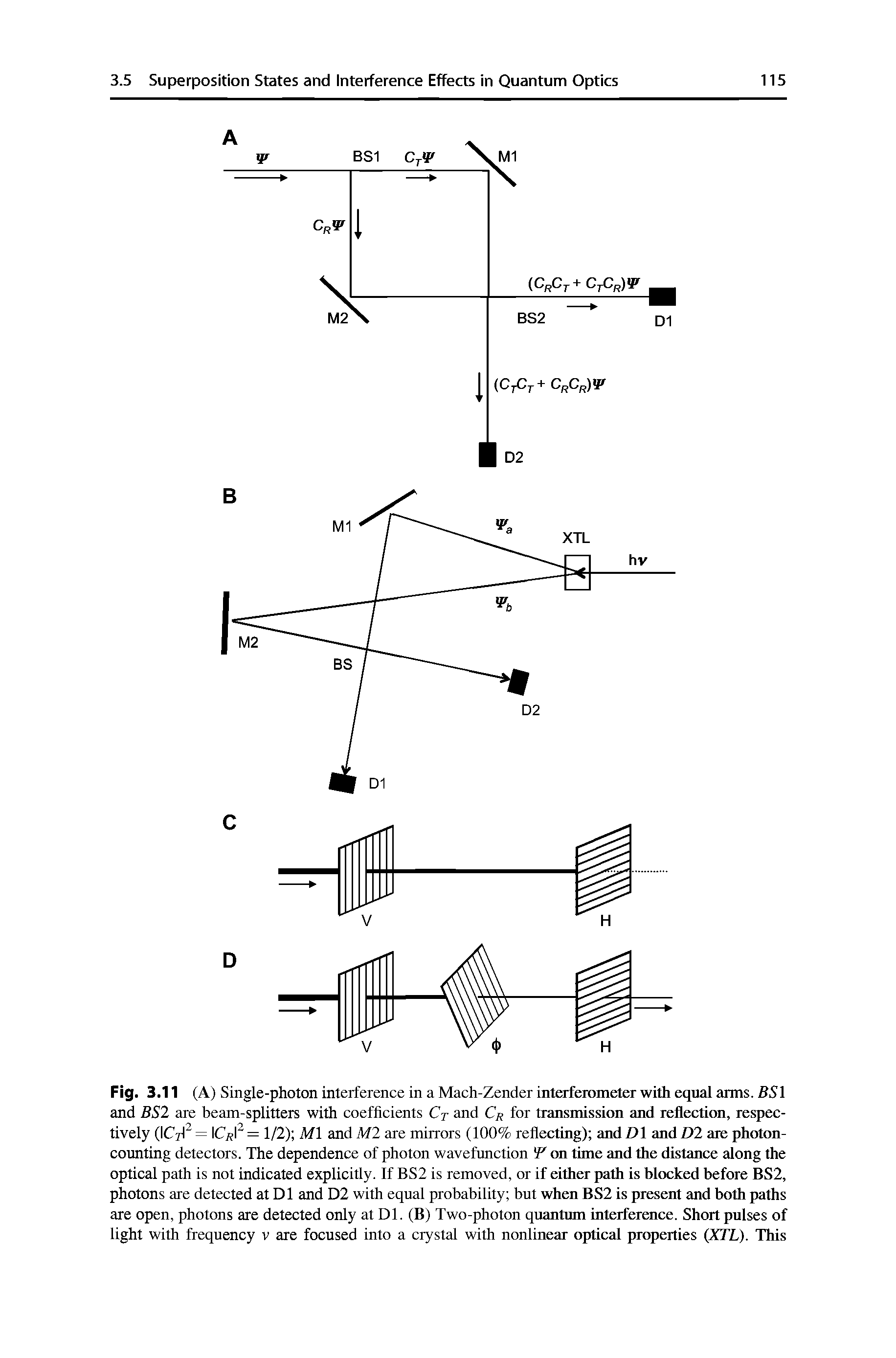 Fig. 3.11 (A) Single-photon interference in a Mach-Zender interferometer with equal arms. BSl and BS2 are beam-splitters with coefficients Ct and for transmission and reflectirai, respectively (ICrl = Cr = 1/2) Ml and M2 are mirrors (100% reflecting) and D and D2 are photoncounting detectors. The dependence of photon wavefunction If on time and the distance along the optical path is not indicated explicitly. If BS2 is removed, or if either path is blocked before BS2, photons are detected at D1 and D2 with equal probability but when BS2 is presem and both paths are open, photons are detected only at Dl. (B) Two-photon quantum interference. Short pulses of light with frequency v are focused into a crystal with nonlinear optical properties (XTL). This...