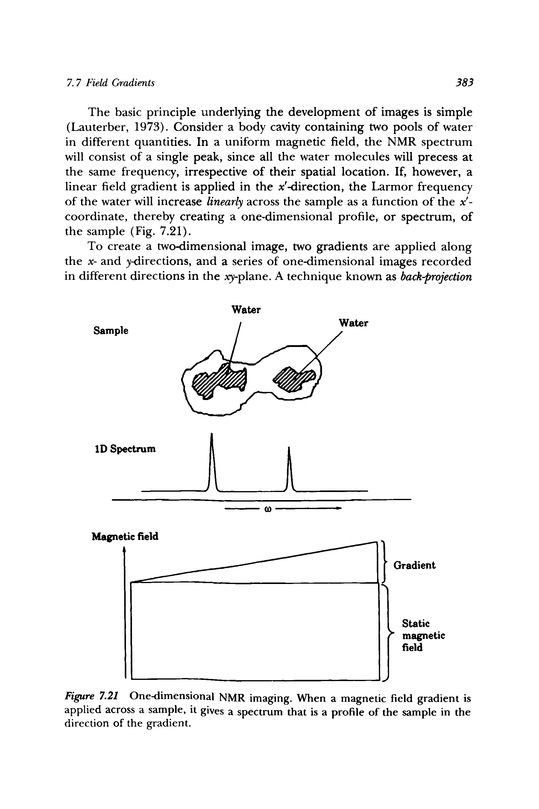 Figure 7.21 One-dimensional NMR imaging. When a magnetic field gradient is applied across a sample, it gives a spectrum that is a profile of the sample in the direction of the gradient.