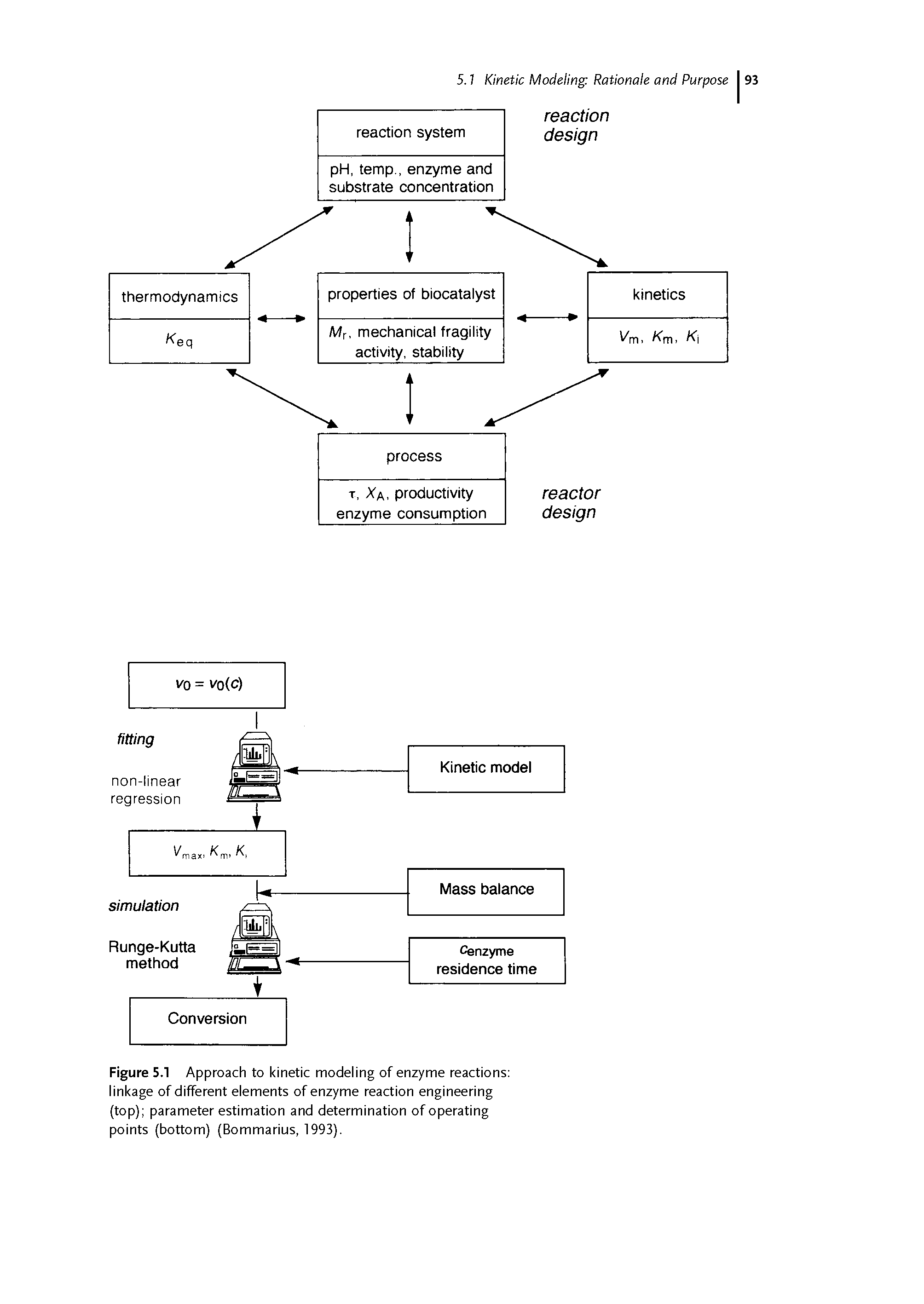Figure 5.1 Approach to kinetic modeling of enzyme reactions linkage of different elements of enzyme reaction engineering (top) parameter estimation and determination of operating points (bottom) (Bommarius, 1993).