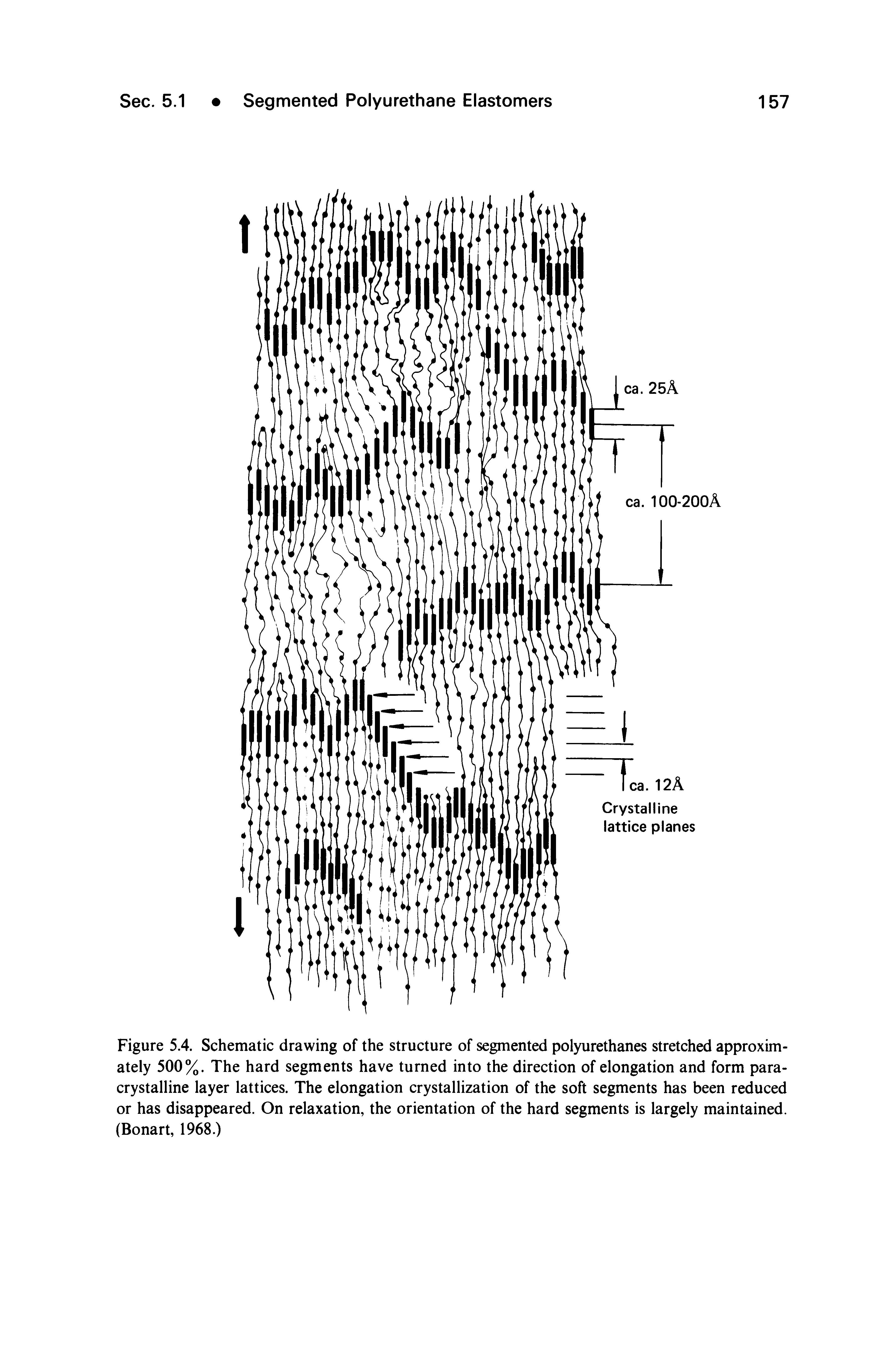 Figure 5.4. Schematic drawing of the structure of segmented polyurethanes stretched approximately 500%. The hard segments have turned into the direction of elongation and form para-crystalline layer lattices. The elongation crystallization of the soft segments has been reduced or has disappeared. On relaxation, the orientation of the hard segments is largely maintained. (Bonart, 1968.)...