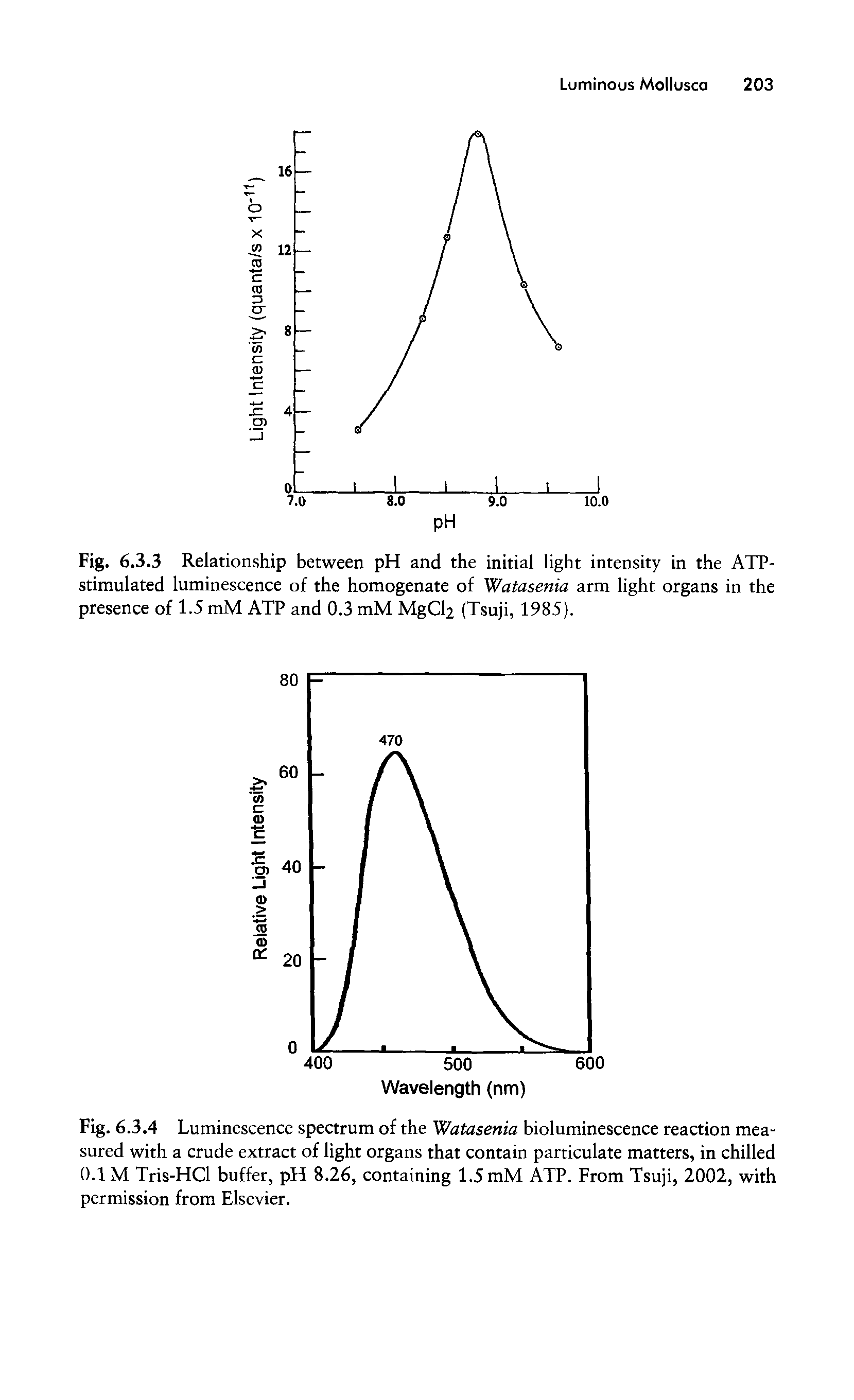 Fig. 6.3.4 Luminescence spectrum of the Watasenia bioluminescence reaction measured with a crude extract of light organs that contain particulate matters, in chilled 0.1 M Tris-HCl buffer, pH 8.26, containing 1.5 mM ATP. From Tsuji, 2002, with permission from Elsevier.
