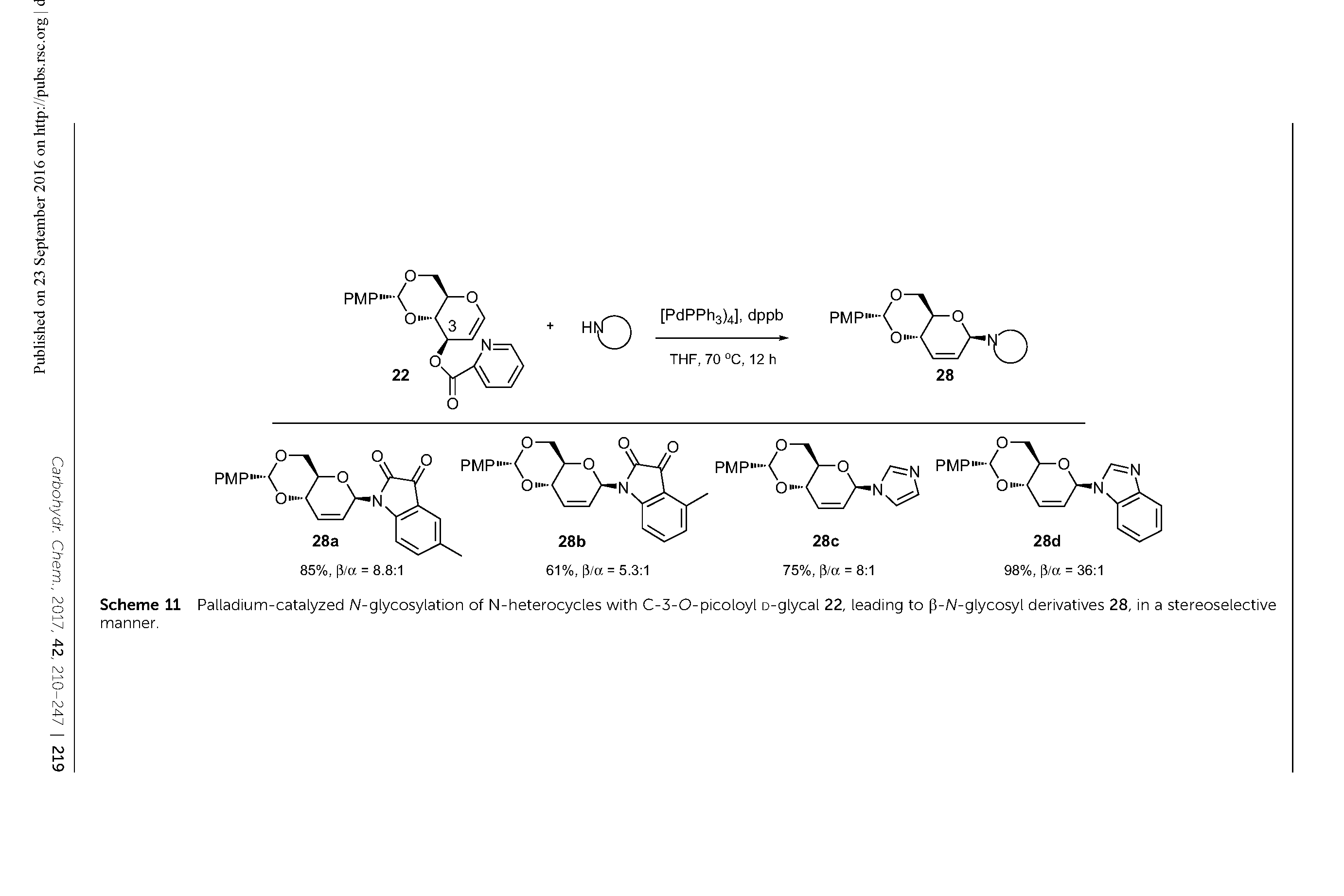 Scheme 11 Palladium-catalyzed A/-glycosylation of N-heterocycles with C-3-O-picoloyl D-glycal 22, leading to p-A/-glycosyl derivatives 28, in a stereoselective manner.