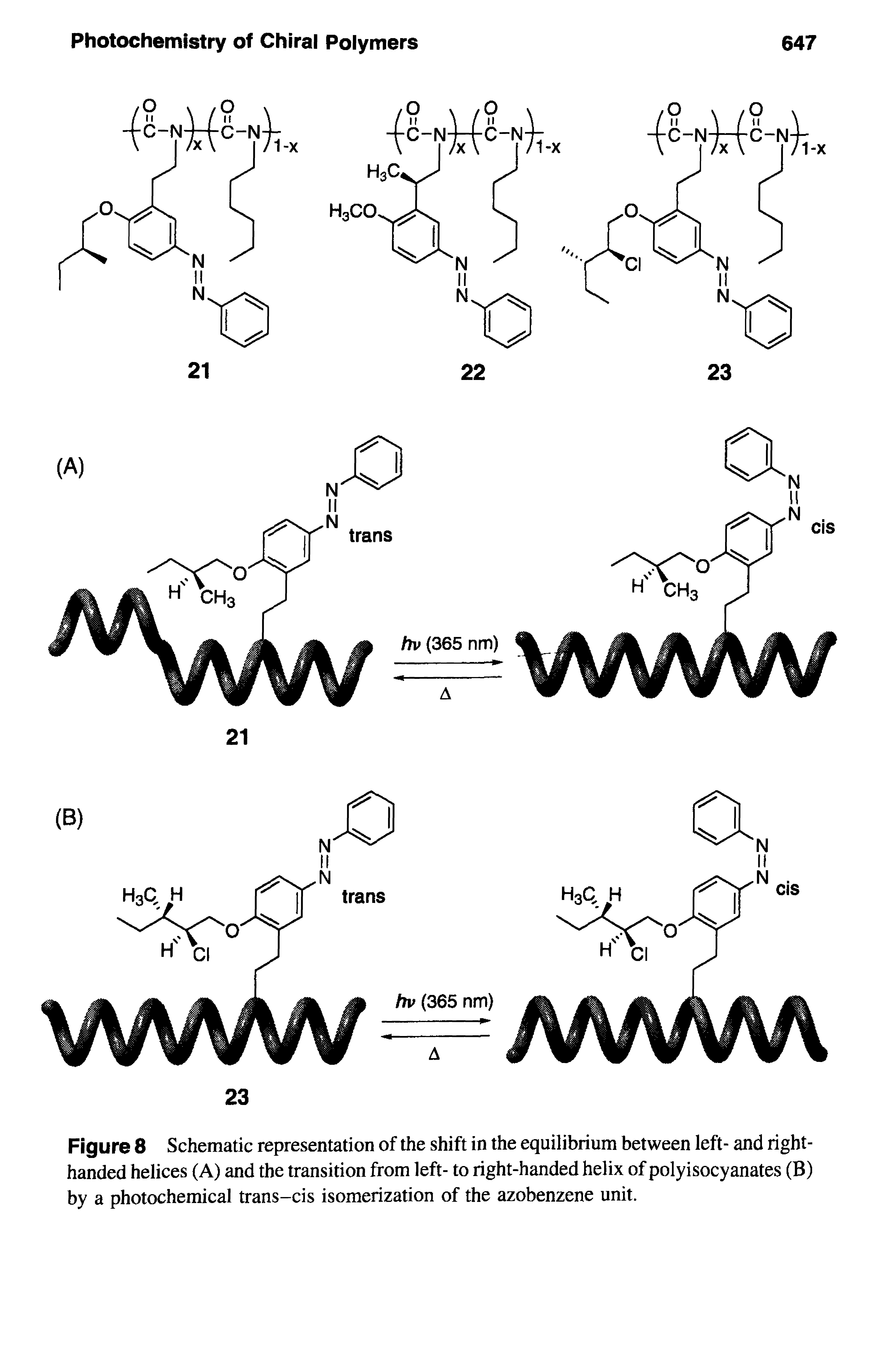 Figure 8 Schematic representation of the shift in the equilibrium between left- and right-handed helices (A) and the transition from left- to right-handed helix of poly isocyanates (B) by a photochemical trans-cis isomerization of the azobenzene unit.