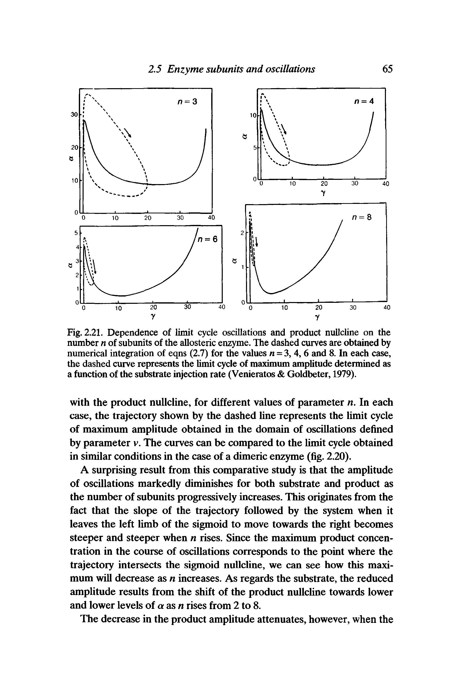 Fig. 2.21. Dependence of limit cycle oscillations and product nullcline on the number n of subunits of the allosteric enzyme. The dashed curves are obtained by numerical integration of eqns (2.7) for the values n = 3, 4,6 and 8. In each case, the dashed curve represents the limit cycle of maximum amplitude determined as a function of the substrate injection rate (Venieratos Goldbeter, 1979).