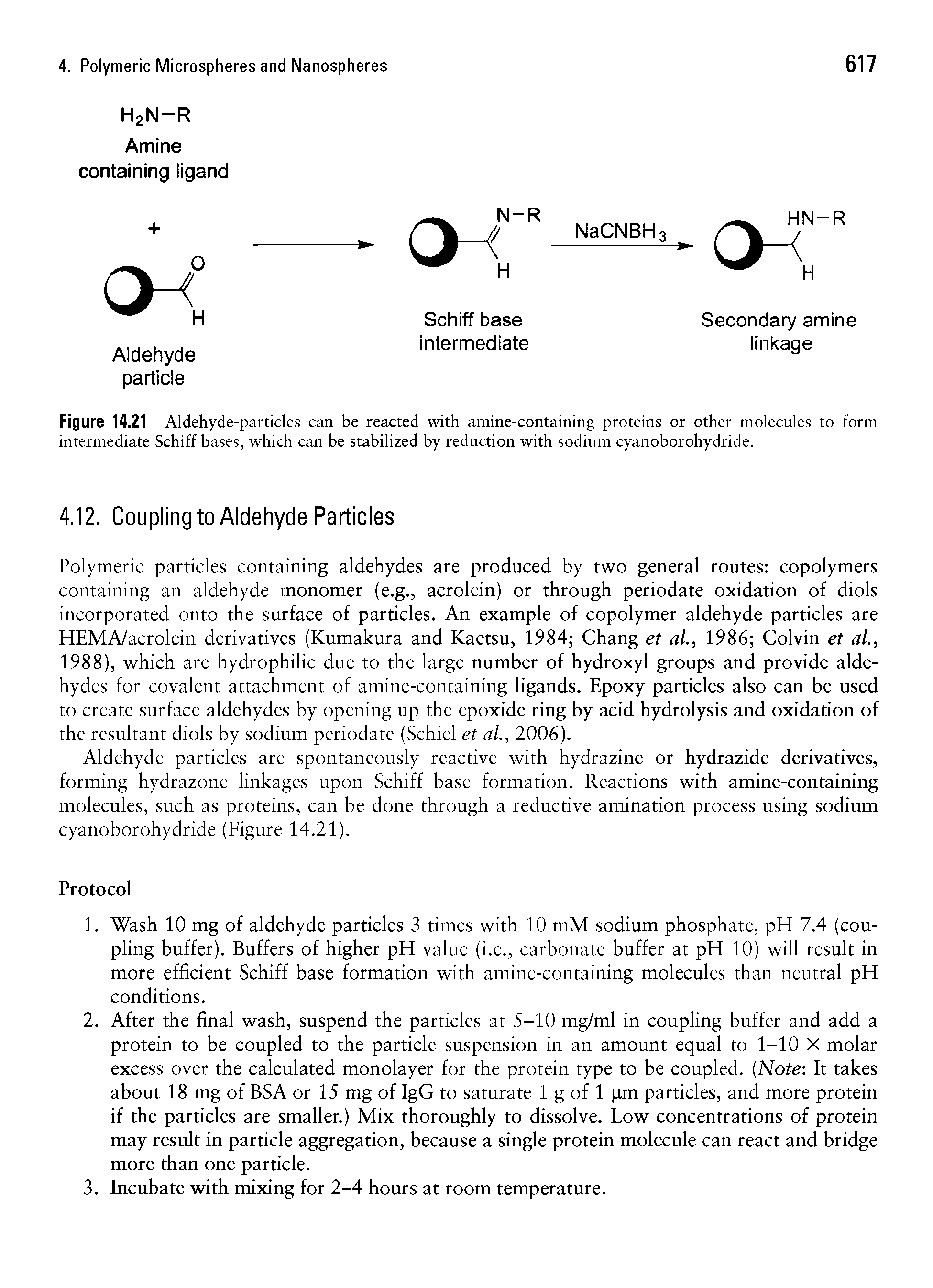 Figure 14.21 Aldehyde-particles can be reacted with amine-containing proteins or other molecules to form intermediate Schiff bases, which can be stabilized by reduction with sodium cyanoborohydride.