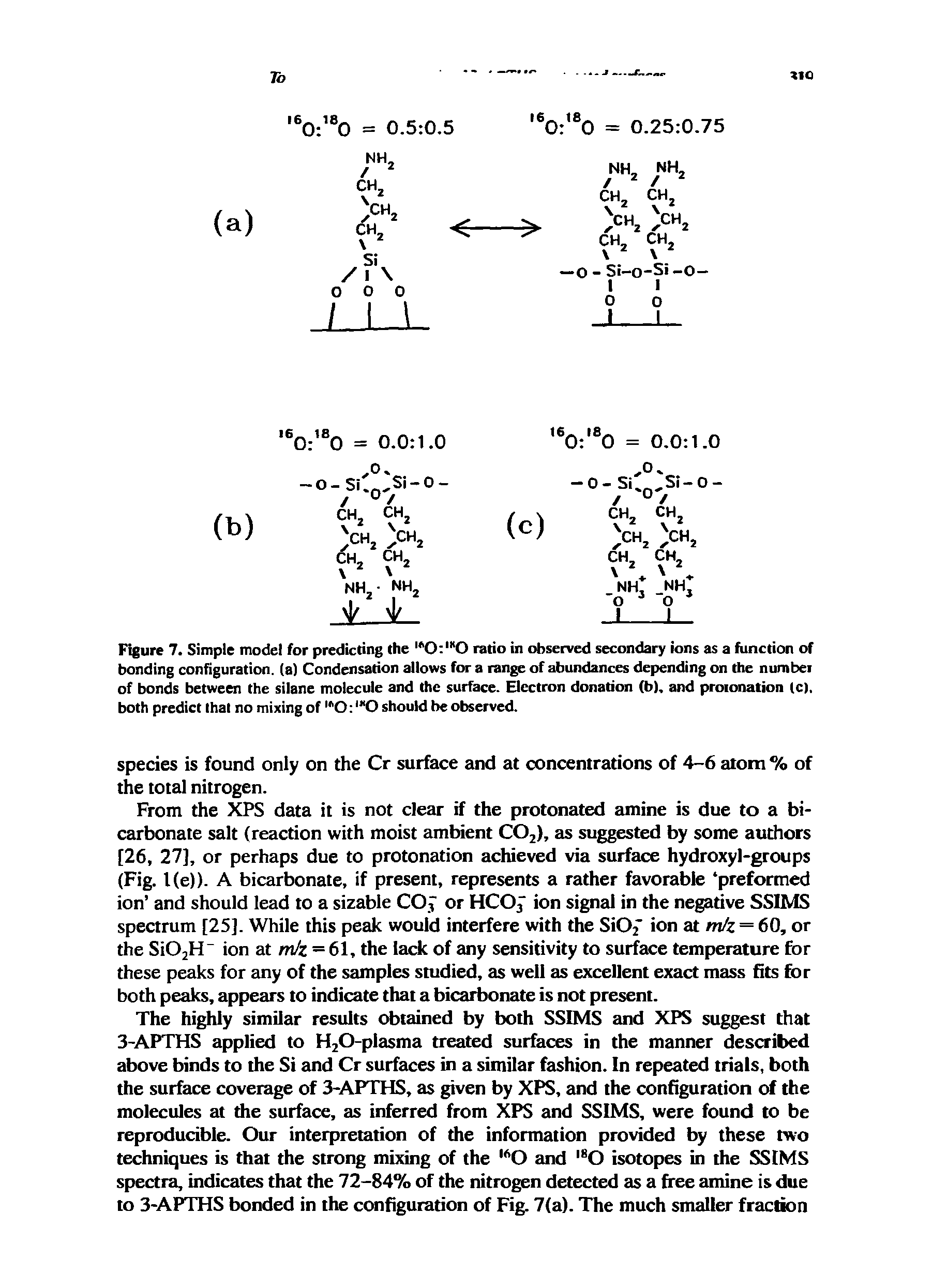 Figure 7. Simple model for predicting the ">0 " 0 ratio in observed secondary ions as a function of bonding configuration, (a) Condensation allows for a range of abundances depending on the number of bonds between the silane molecule and the surface. Electron donation (b). and protonation (c). both predict that no mixing of O O should be observed.