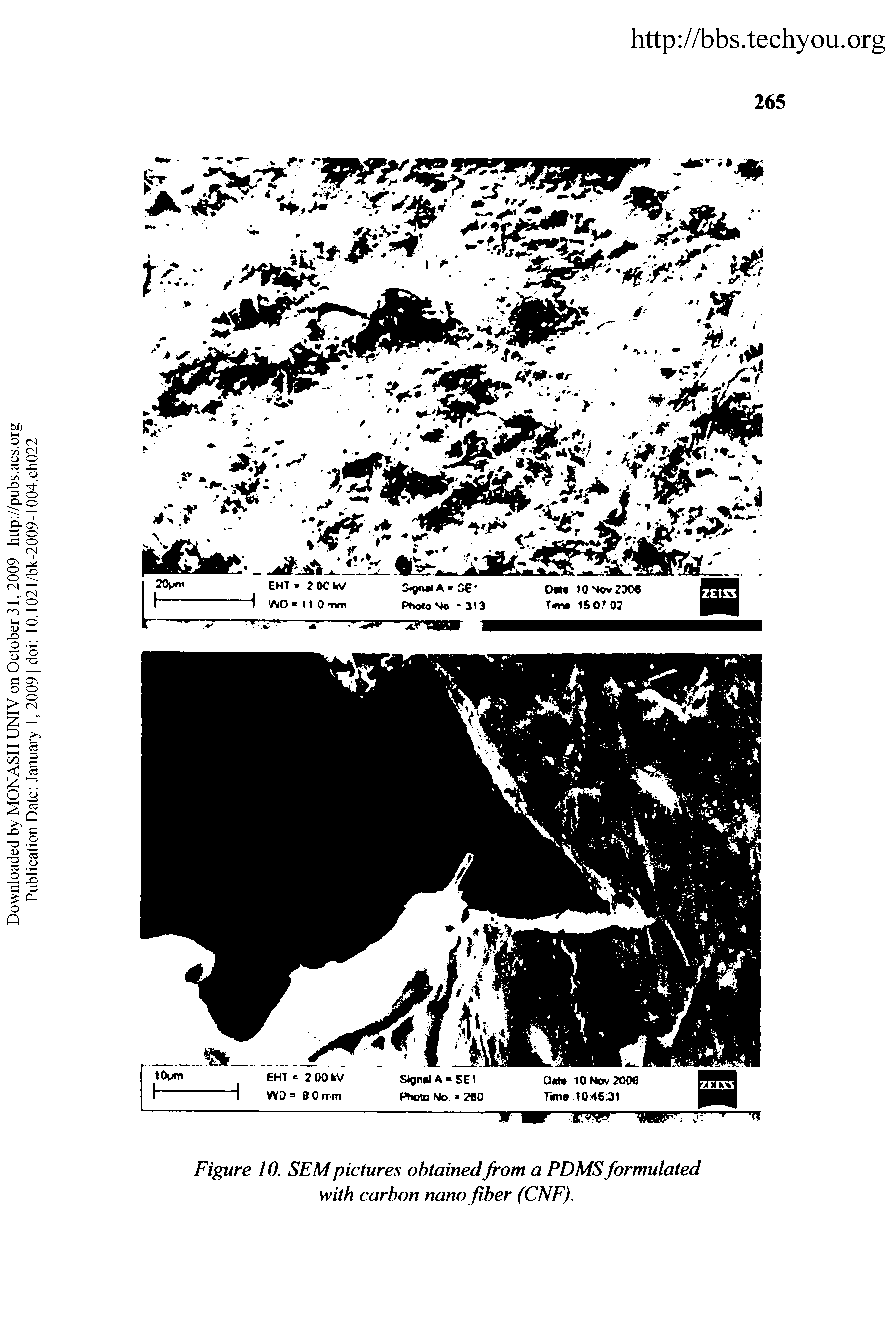 Figure 10. SEM pictures obtained from a PD MS formulated with carbon nano fiber (CNF).