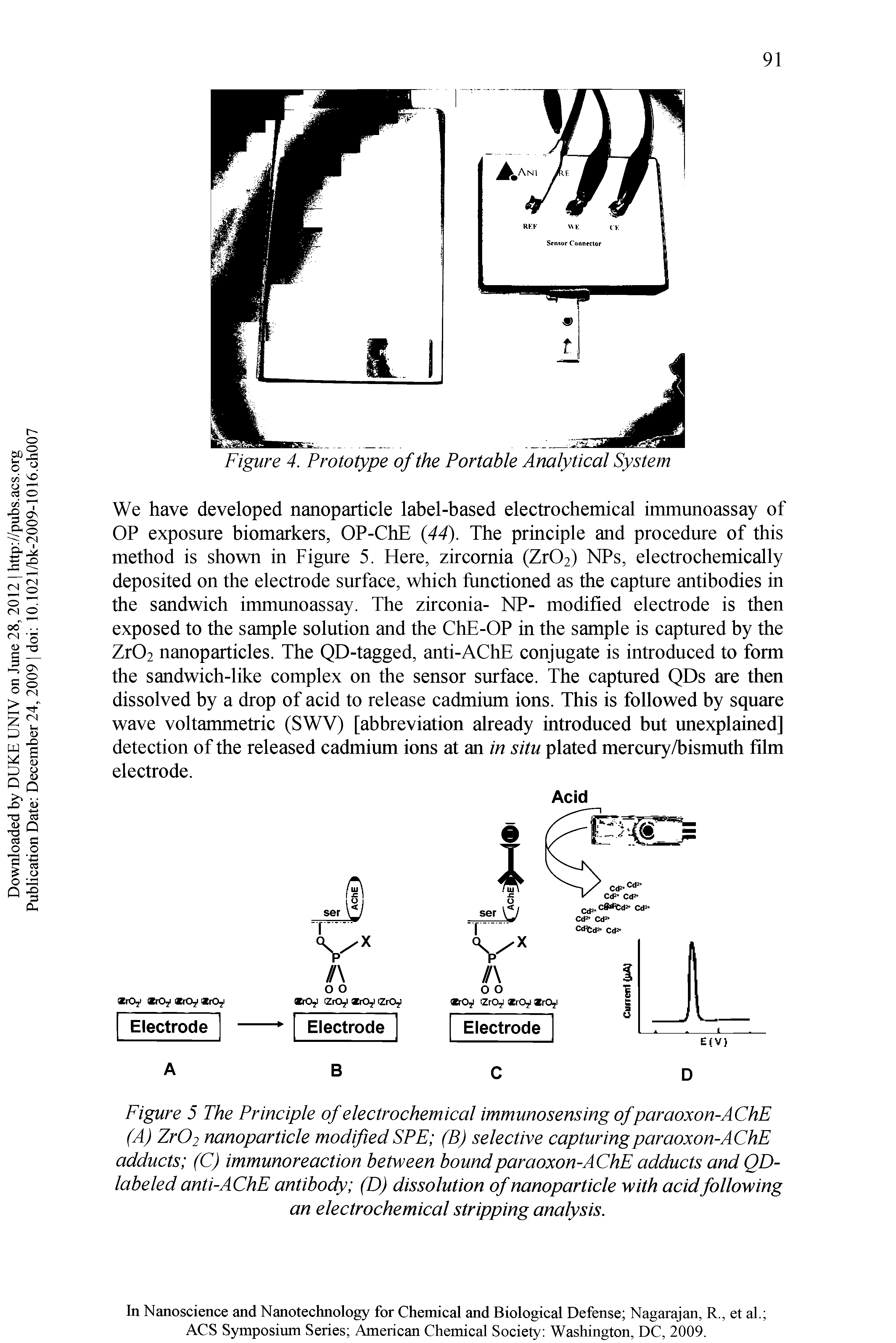 Figure 5 The Principle of electrochemical immunosensing ofparaoxon-AChE (A) Zr02 nanoparticle modified SPE (B) selective capturingparaoxon-AChE adducts (C) immunoreaction between bound paraoxon-AChE adducts and QD-labeled anti-AChE antibody (D) dissolution of nanoparticle with acidfollowing an electrochemical stripping analysis.