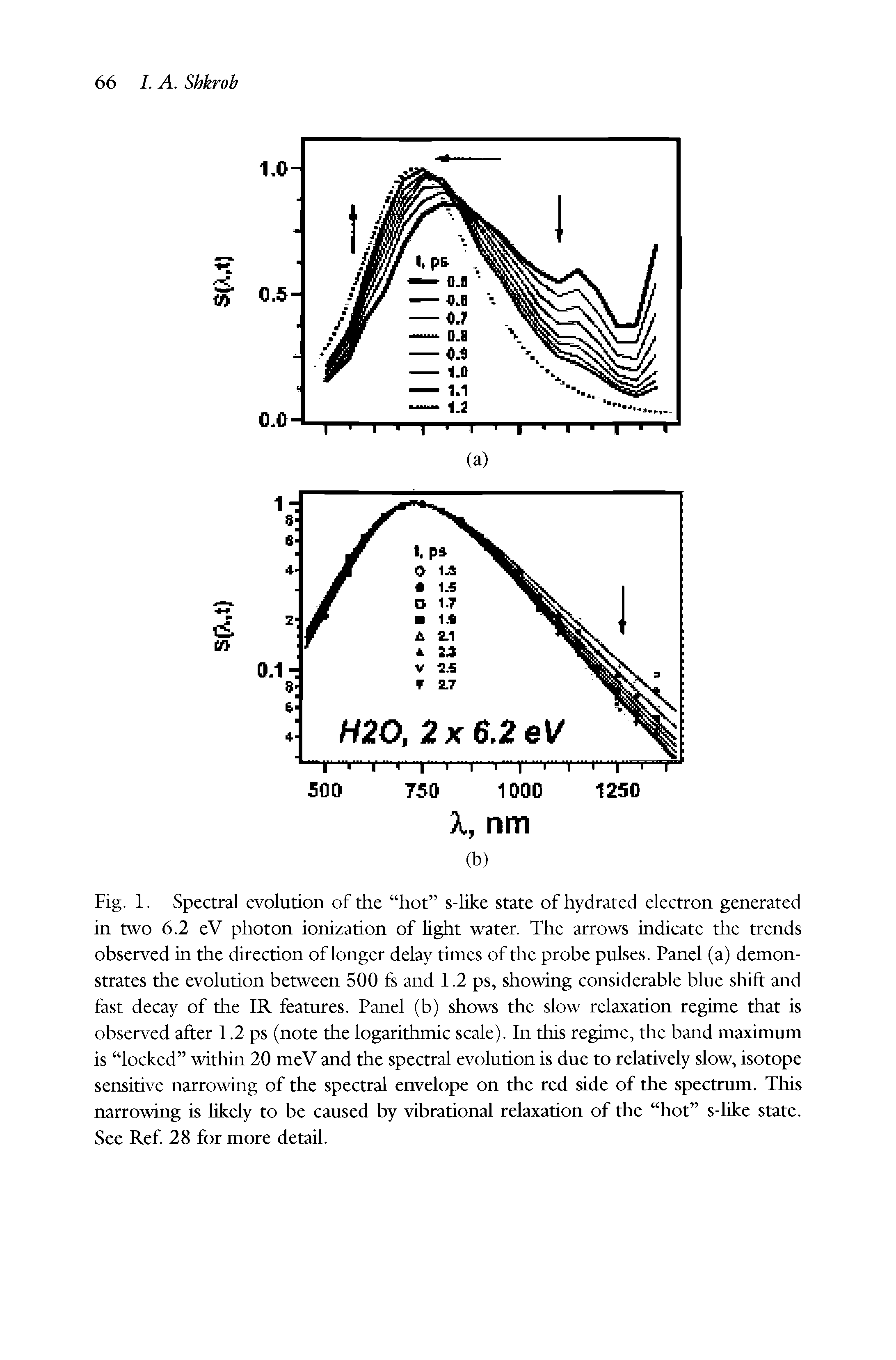Fig. 1. Spectral evolution of the hot s-like state of hydrated electron generated in two 6.2 eV photon ionization of light water. The arrows indicate the trends observed in the direction of longer delay times of the probe pulses. Panel (a) demonstrates the evolution between 500 fs and 1.2 ps, showing considerable blue shift and fast decay of the IR features. Panel (b) shows the slow relaxation regime that is observed after 1.2 ps (note the logarithmic scale). In this regime, the band maximum is locked within 20 meV and the spectral evolution is due to relatively slow, isotope sensitive narrowing of the spectral envelope on the red side of the spectrum. This narrowing is likely to be caused by vibrational relaxation of the hot s-like state. See Ref 28 for more detail.