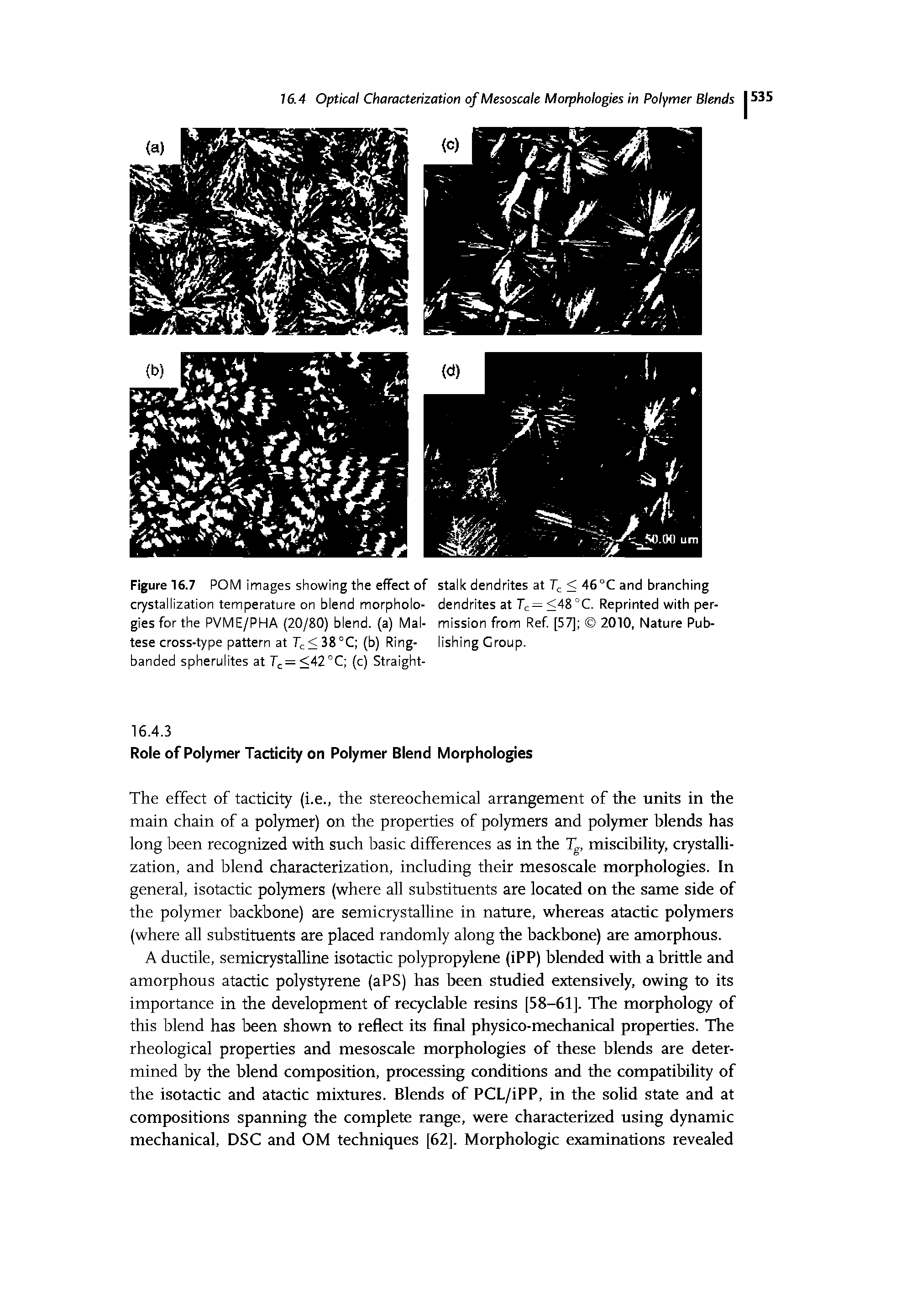 Figure 16.7 POM images showing the effect of stalk dendrites at < 46°C and branching costallization temperature on blend morpholo- dendrites at 7c=<48°C. Reprinted with per-gies for the PVME/PHA (20/80) blend, (a) Mai- mission from Ref. [57] 2010, Nature Pub-tese cross-type pattern at T < 38°C (b) Ring- lishing Croup, banded spherulites at 7 . = <42 C (c) Straight-...