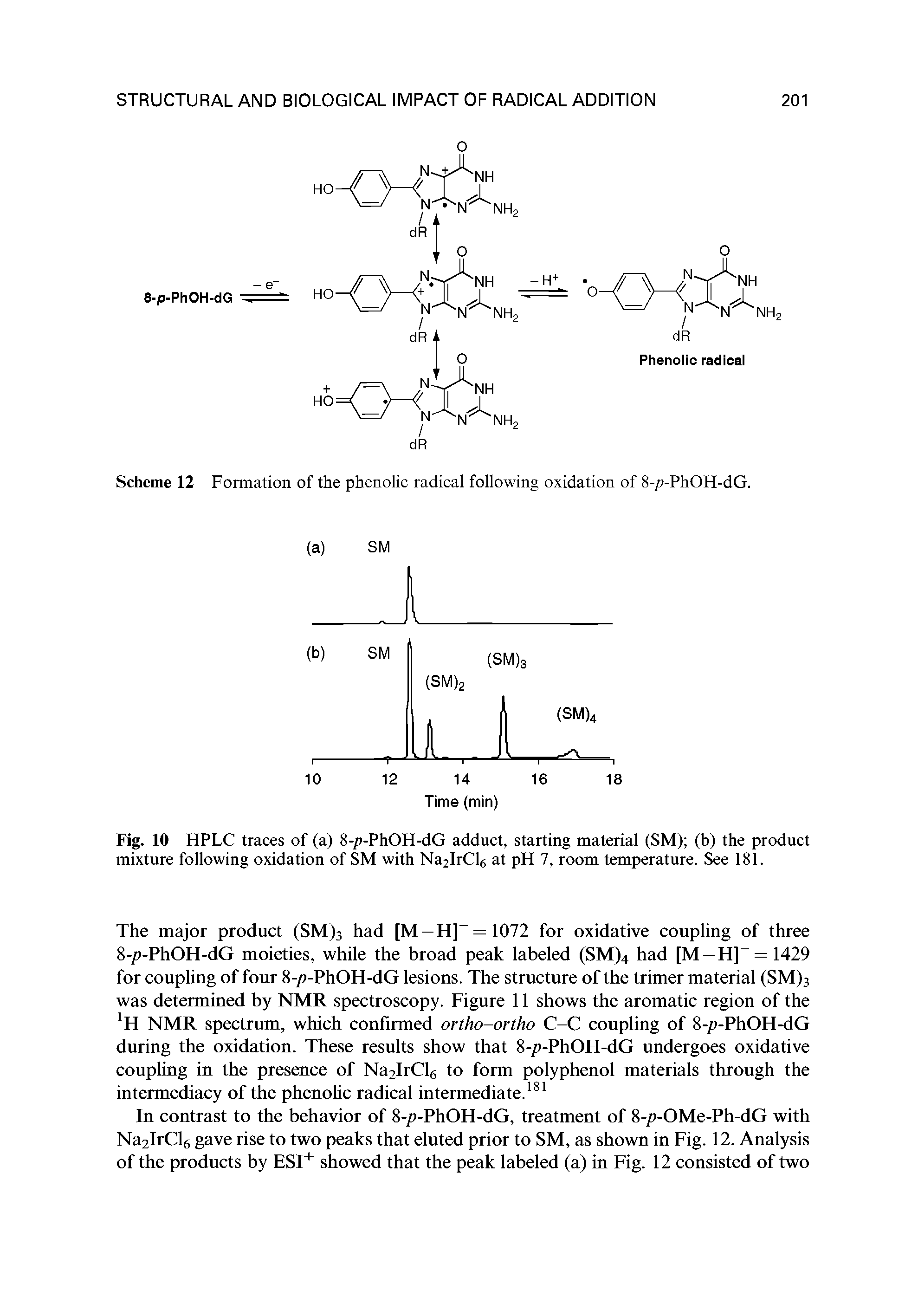 Scheme 12 Formation of the phenolic radical following oxidation of 8-p-PhOH-dG.