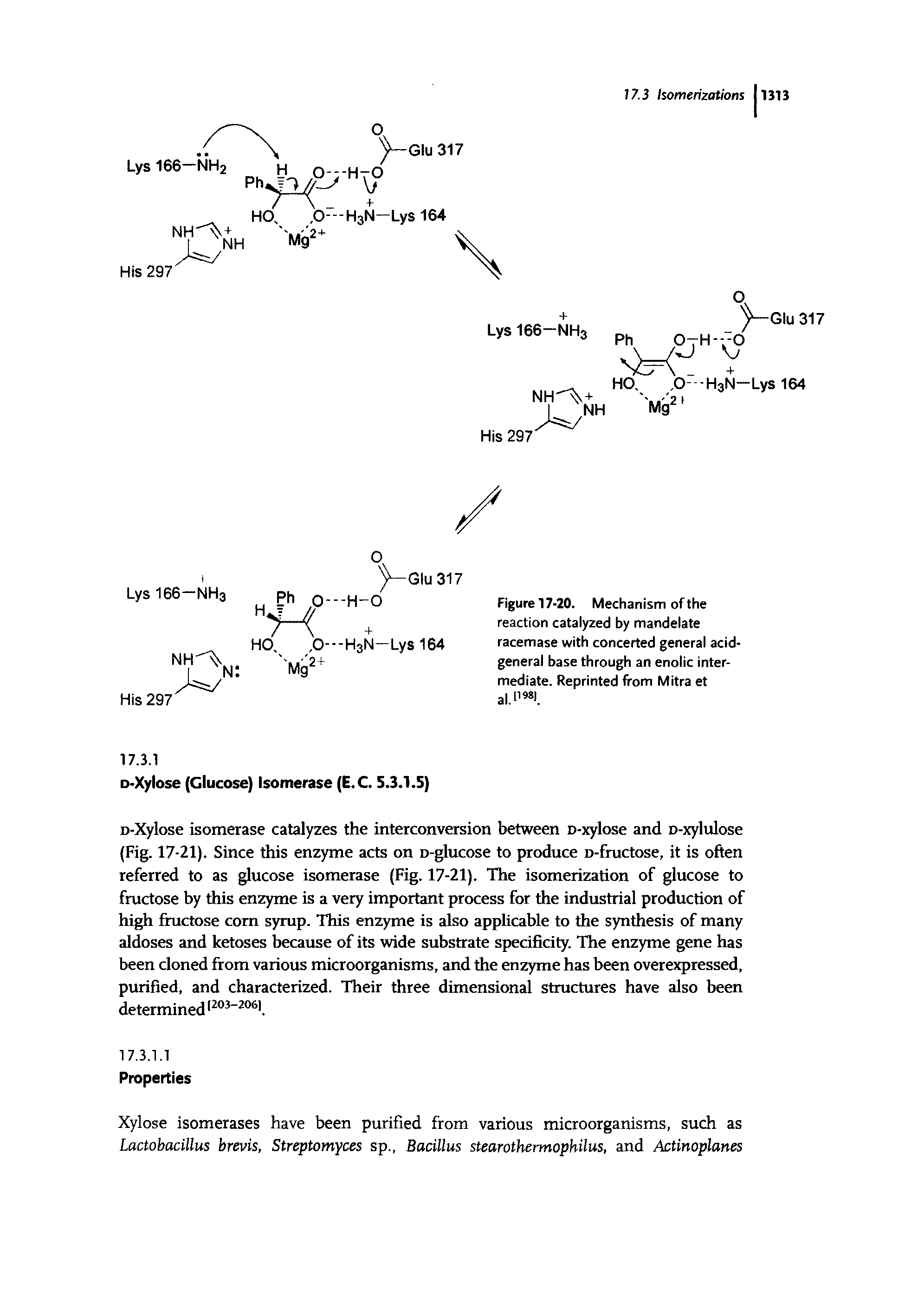 Figure 17-20. Mechanism of the reaction catalyzed by mandelate racemase with concerted general acid-general base through an enolic intermediate. Reprinted from Mitra et al. 1981.