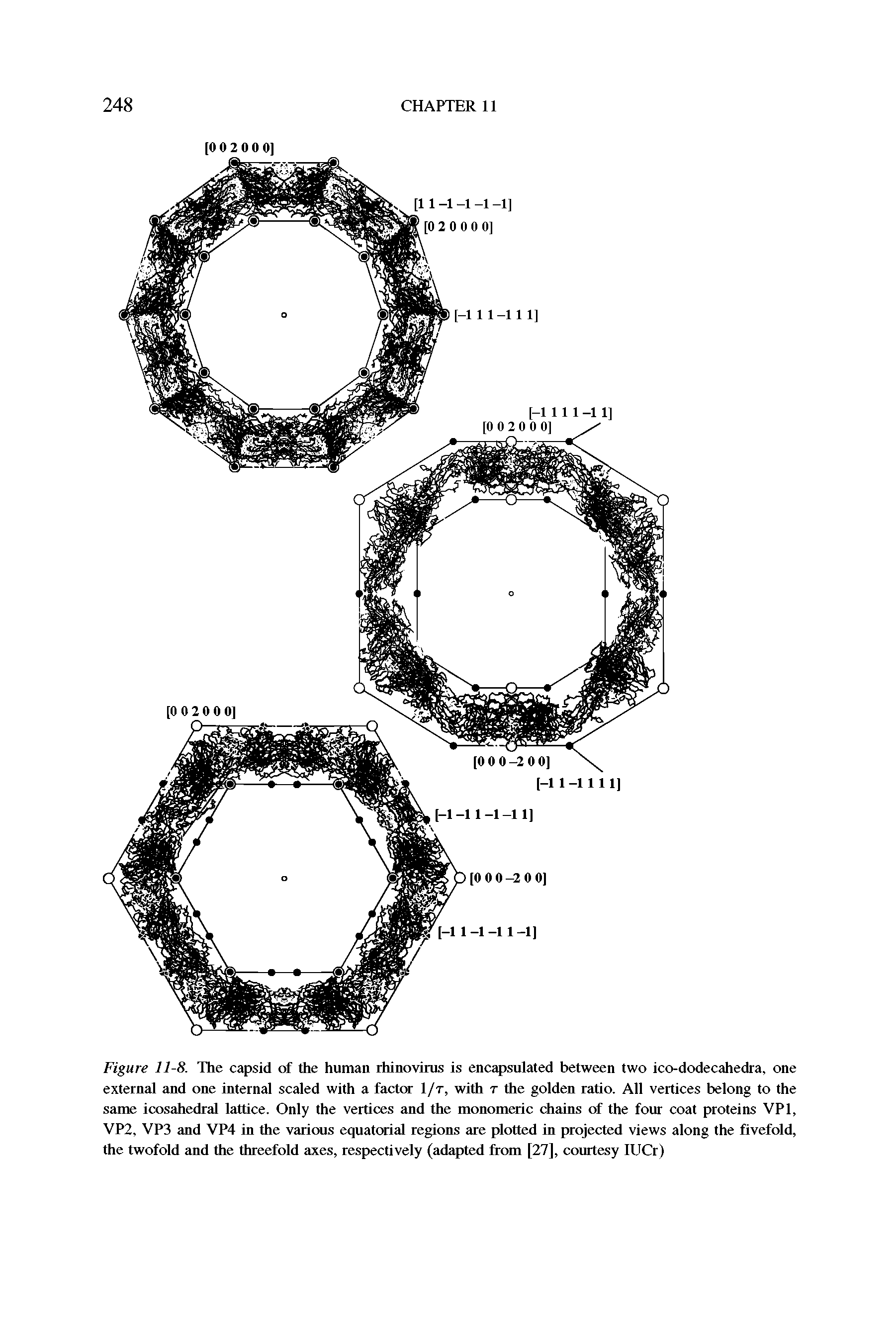 Figure 11-8. The capsid of the human rhinovirus is enc sulated between two ico-dodecahedra, one external and one internal scaled with a factor 1/r, with r the golden ratio. All vertices belong to the same icosahedral lattice. Only the vertices and the monomeric chains of the four coat proteins VPl, VP2, VP3 and VP4 in die various equatorial regions are plotted in projected views along the fivefold, the twofold and die direefold axes, respectively (adapted from [27], courtesy lUCr)...