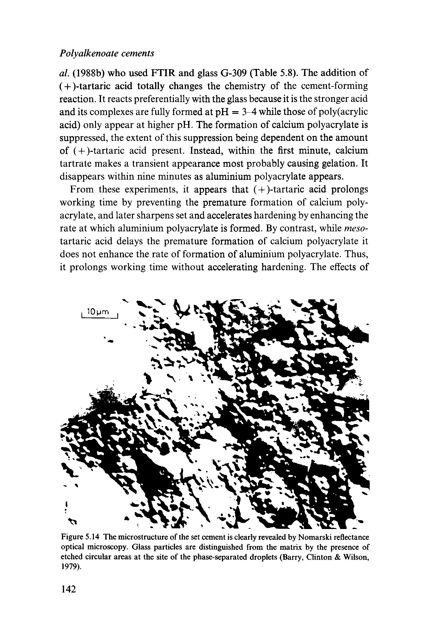 Figure 5.14 The microstructure of the set cement is clearly revealed by Nomarski reflectance optical microscopy. Glass particles are distinguished from the matrix by the presence of etched circular areas at the site of the phase-separated droplets (Barry, Clinton Wilson, 1979).