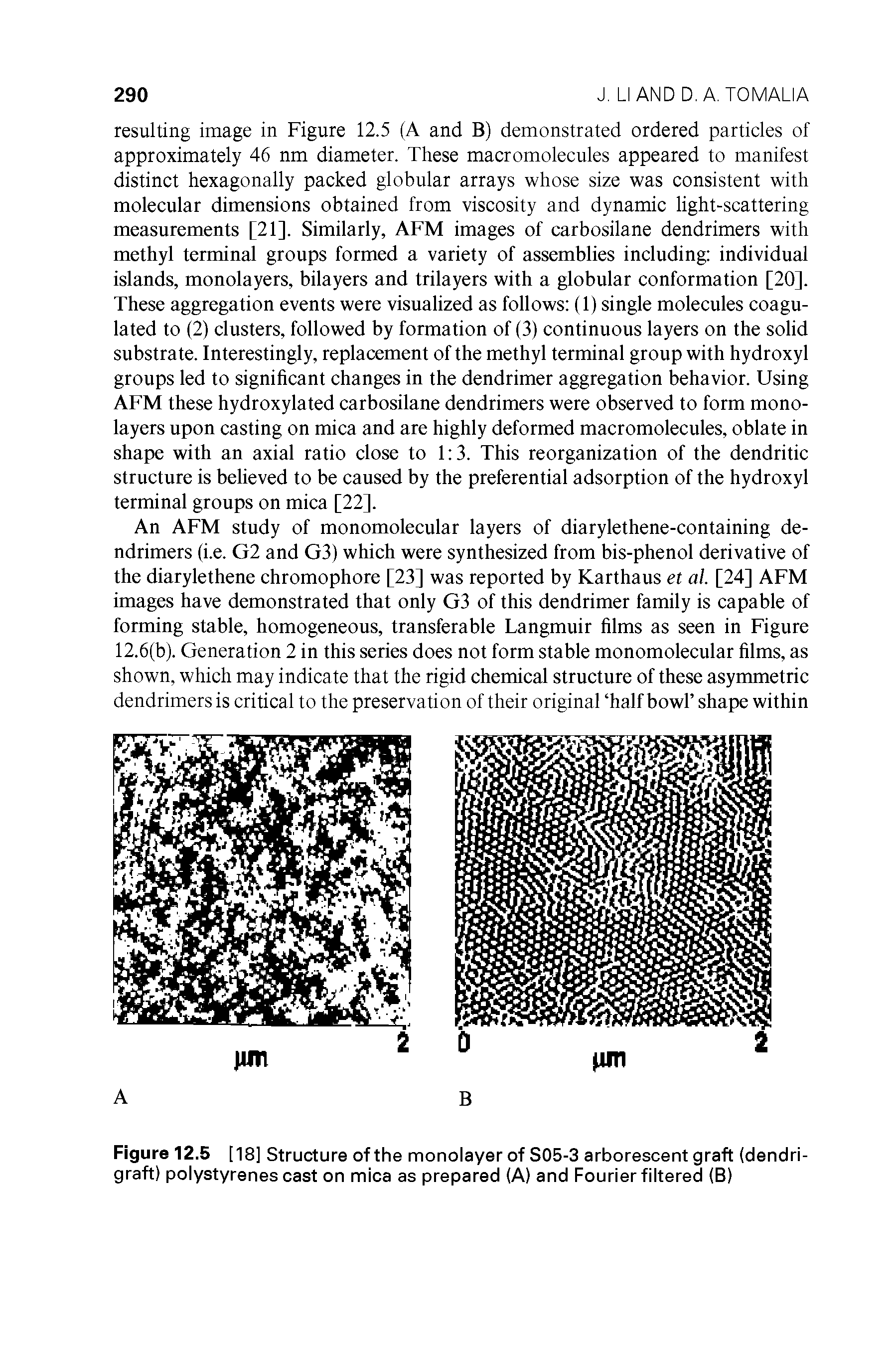 Figure 12.5 [18] Structure of the monolayer of S05-3 arborescent graft (dendri-graft) polystyrenes cast on mica as prepared (A) and Fourier filtered (B)...