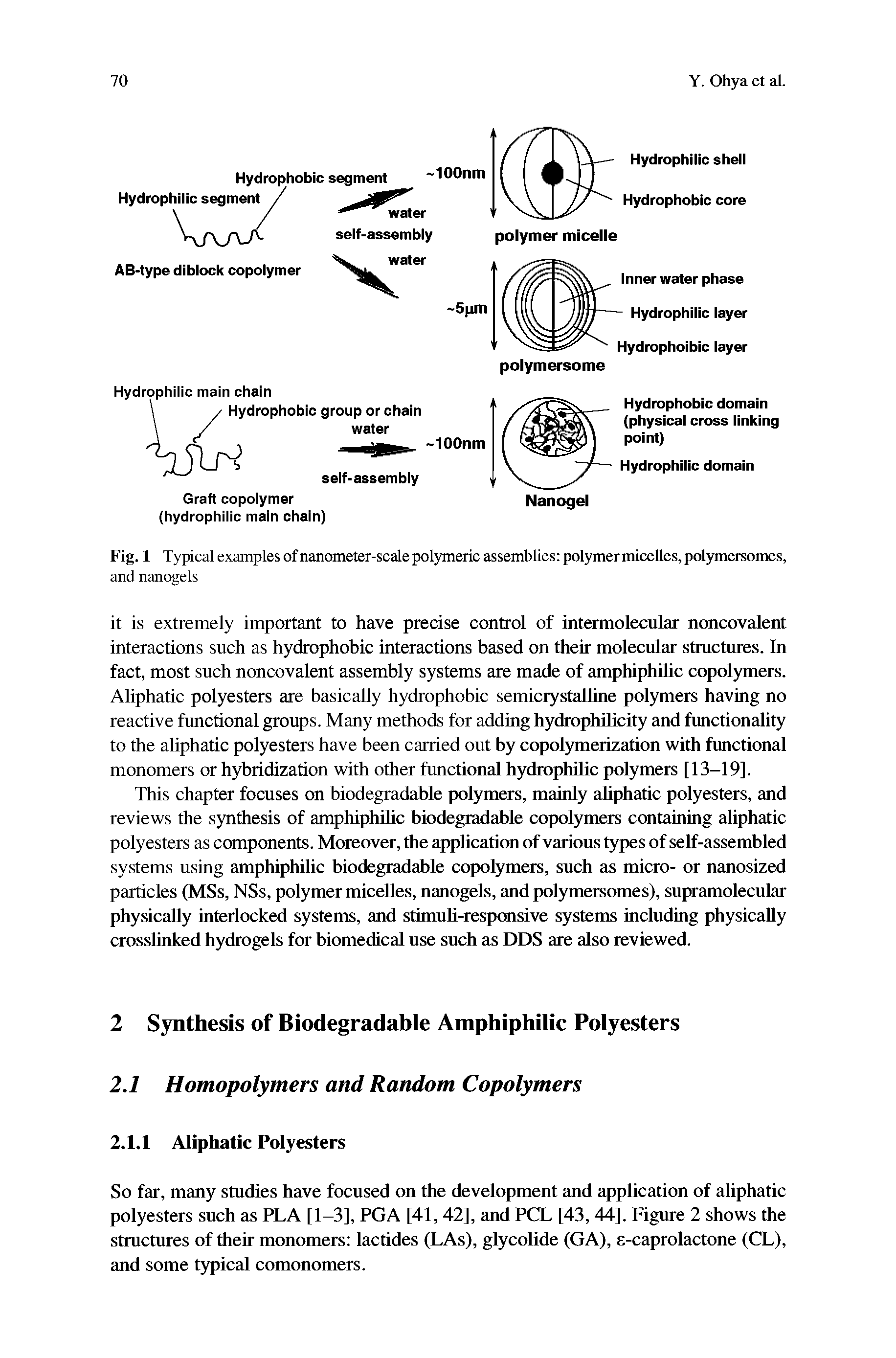 Fig. 1 Typical examples of nanometer-scale polymeric assemblies polymer micelles, polymersomes,...