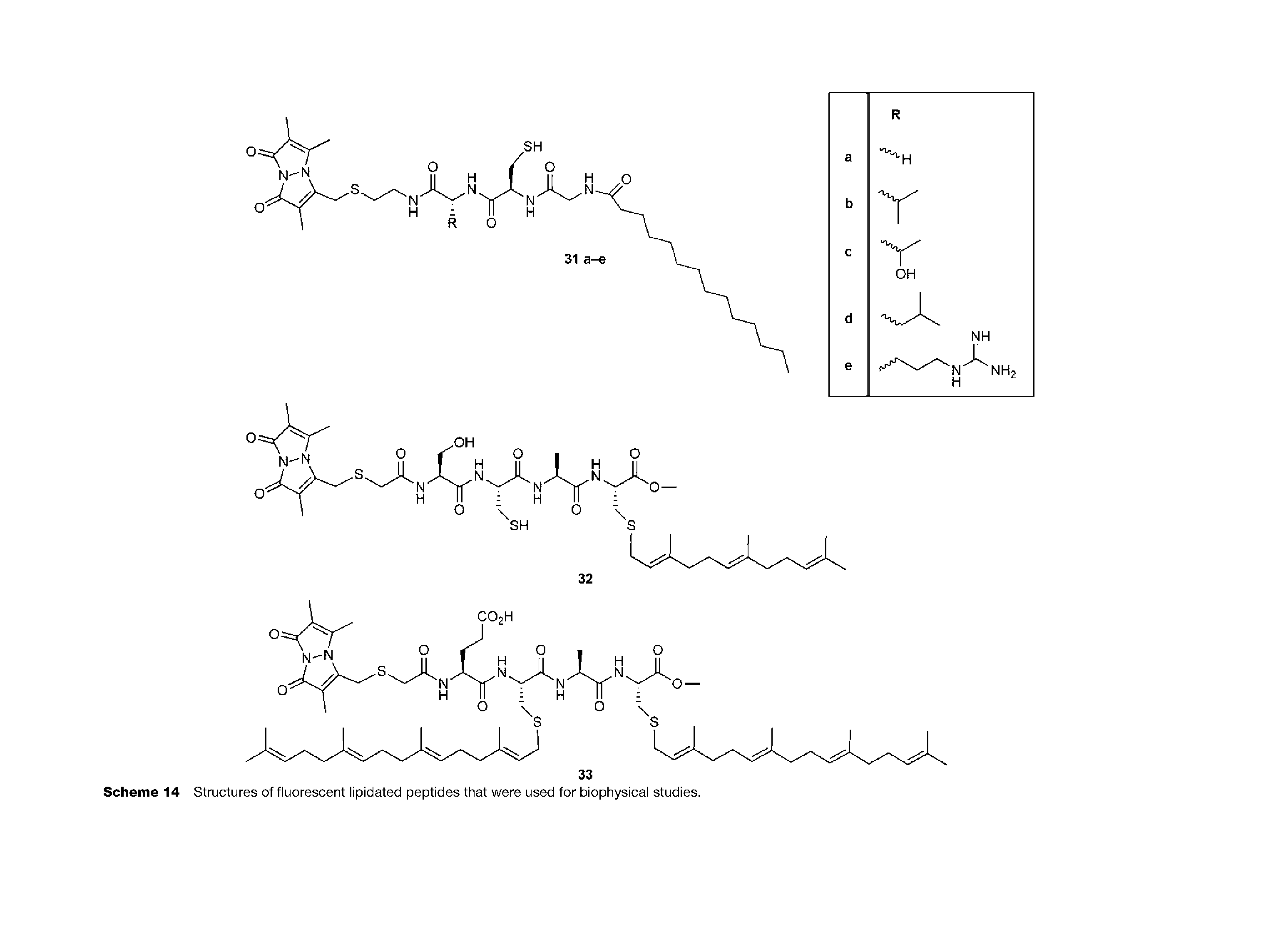 Scheme 14 Structures of fluorescent lipidated peptides that were used for biophysical studies.