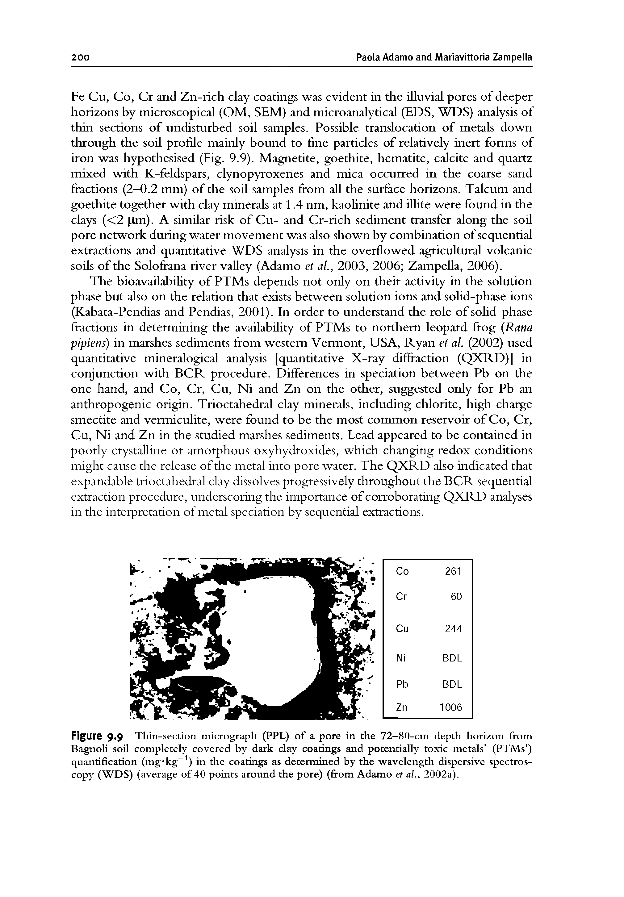 Figure 9.9 Thin-section micrograph (PPL) of a pore in the 72-80-cm depth horizon from Bagnoli soil completely covered by dark clay coatings and potentially toxic metals (PTMs j quantification (mg kg ) in the coatings as determined by the wavelength dispersive spectroscopy (WDS) (average of 40 points around the pore) (from Adamo et al., 2002a).