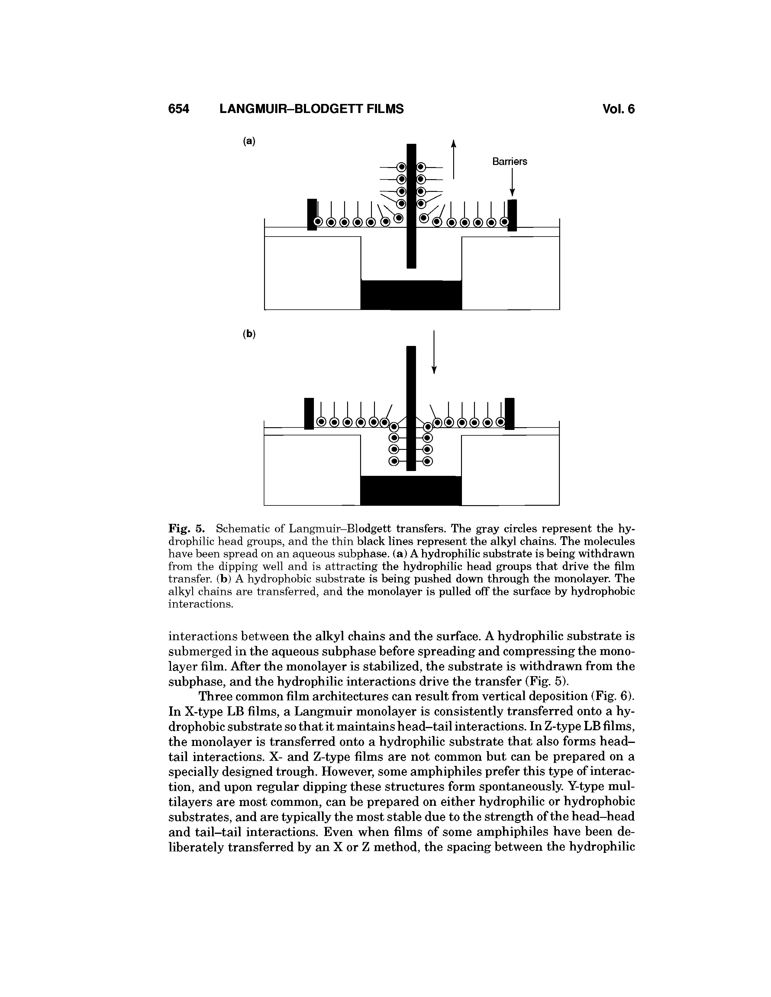 Fig. 5. Schematic of Langmuir-Blodgett transfers. The gray circles represent the hydrophilic head groups, and the thin black lines represent the alkyl chains. The molecules have been spread on an aqueous subphase, (a) A hydrophilic substrate is being withdrawn from the dipping well and is attracting the hydrophihc head groups that drive the film transfer, (b) A hydrophobic substrate is being pushed down through the monolayer. The alkyl chains are transferred, and the monolayer is pulled off the surface by hydrophobic interactions.