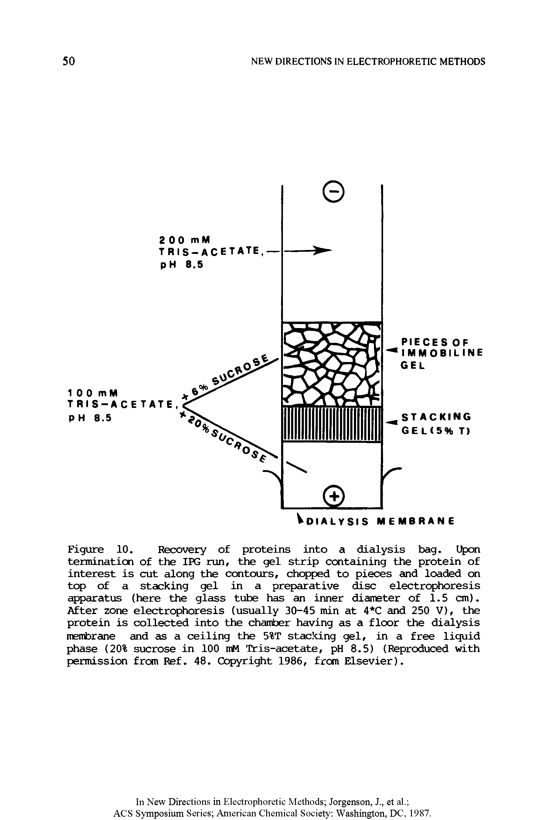 Figure 10. Recovery of proteins into a dialysis bag. Upon terminaticn of the IPG run, the gel strip containing the protein of interest is cut along the contours, chopped to pieces and loaded on top of a stacking gel in a preparative disc electrophoresis apparatias (here the glass tube has an inner diameter of 1.5 cm). After zone electrophoresis (usually 30-45 min at 4 C and 250 V), the protein is collected into the chamber having as a floor the dialysis membrane and as a ceiling the 5%T stacking gel, in a free liquid phase (20% sucrose in 100 mM Tris-acetate, pH 8.5) (Reproduced with permission from Ref. 48. copyright 1986, from Elsevier).