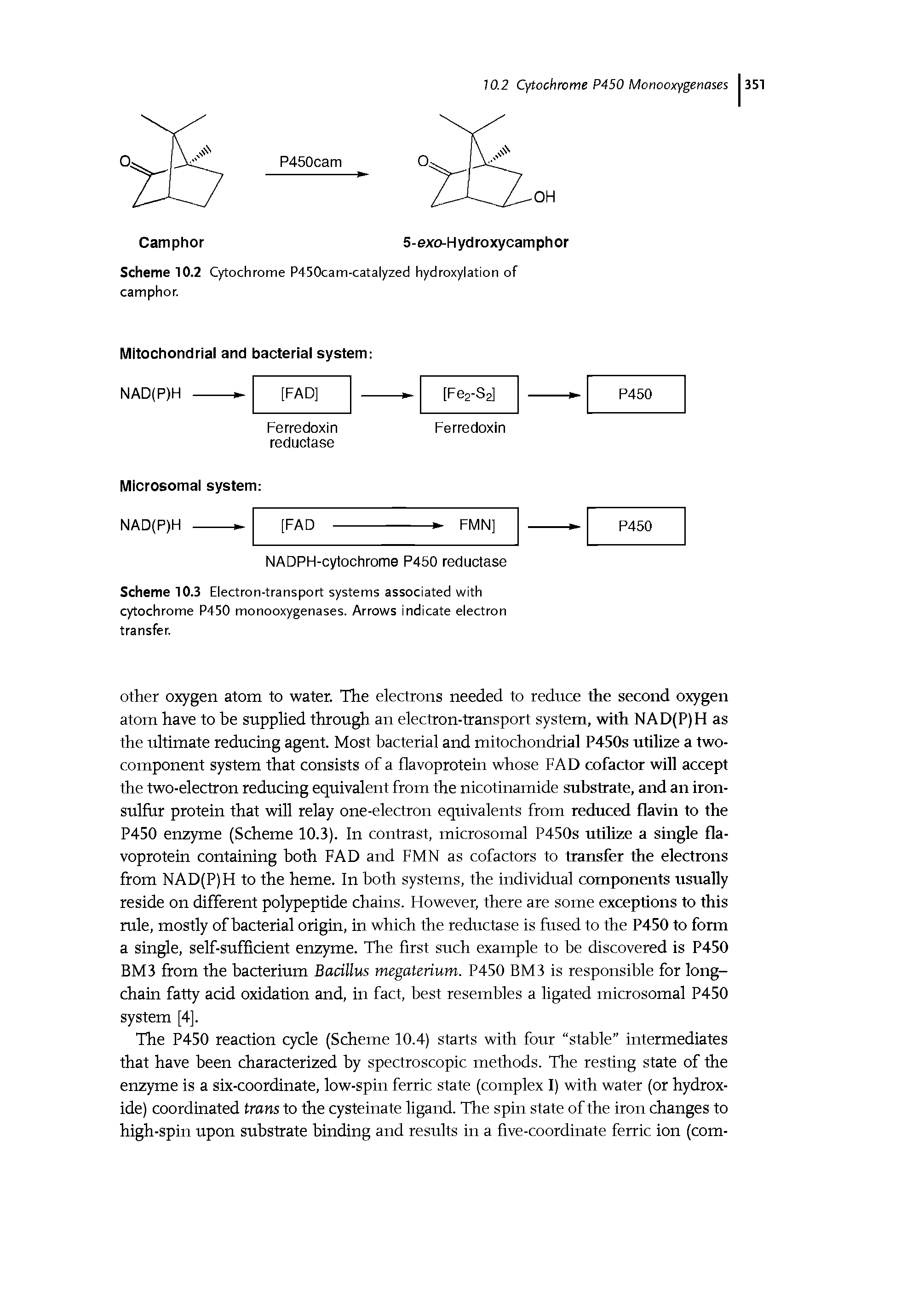 Scheme 10.3 Electron-transport systems associated with cytochrome P450 monooxygenases. Arrows indicate electron transfer.