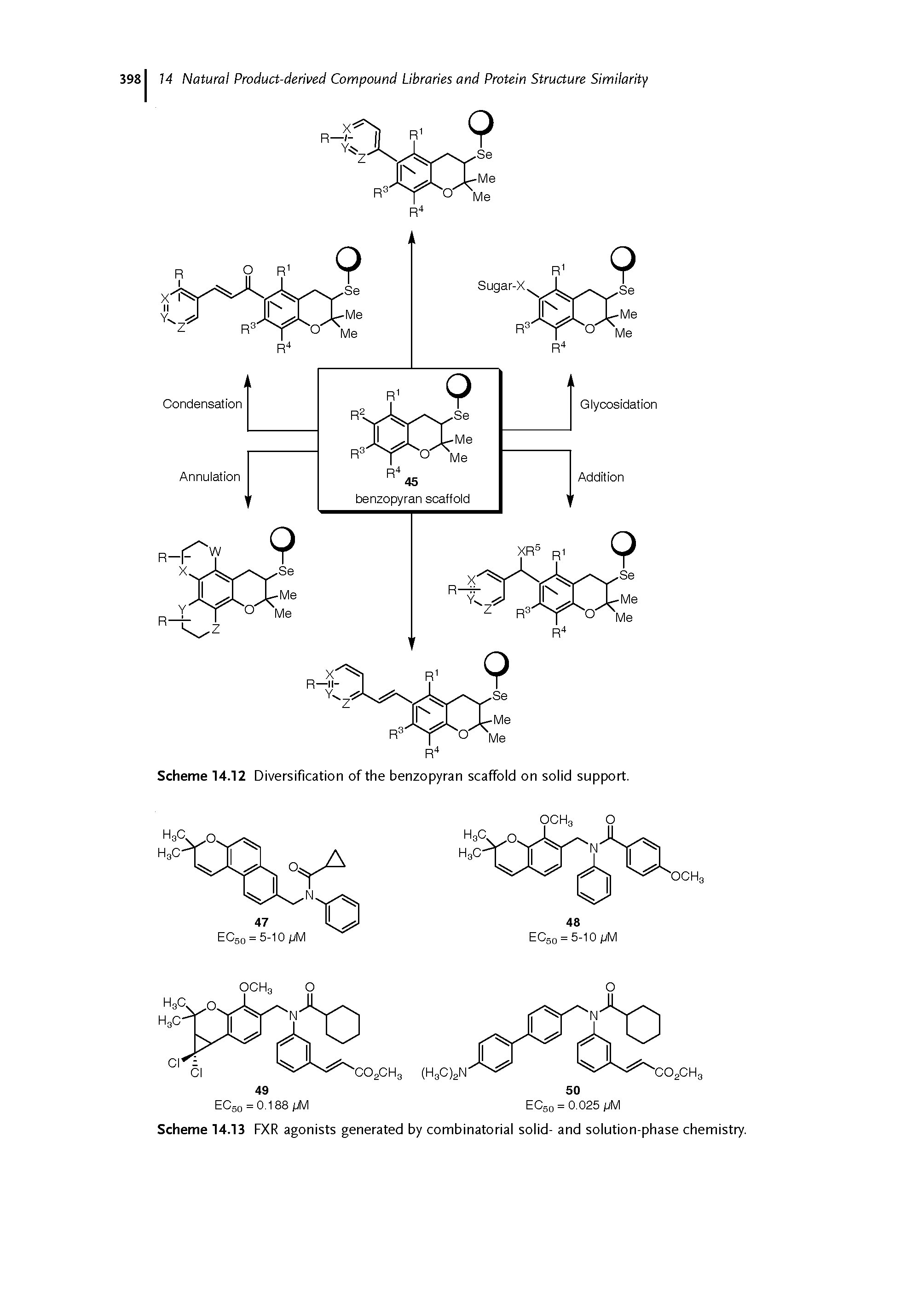 Scheme 14.13 FXR agonists generated by combinatorial solid- and solution-phase chemistry.