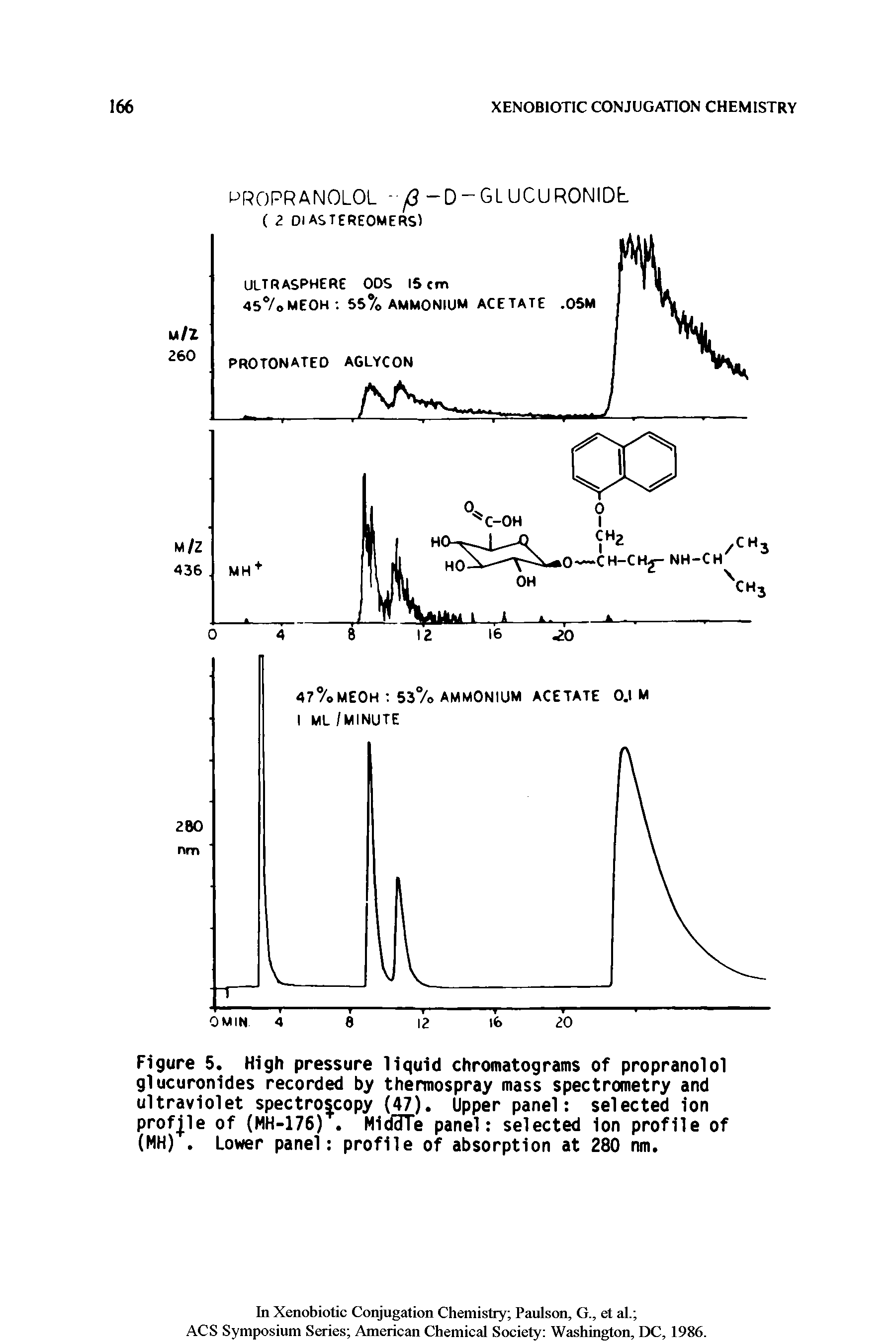 Figure 5. High pressure liquid chromatograms of propranolol glucuronldes recorded by thermospray mass spectrometry and ultraviolet spectroscopy (47). Upper panel selected ion profjle of (MH-176). MidcTTe panel selected ion profile of (MH). Lower panel profile of absorption at 280 nm.