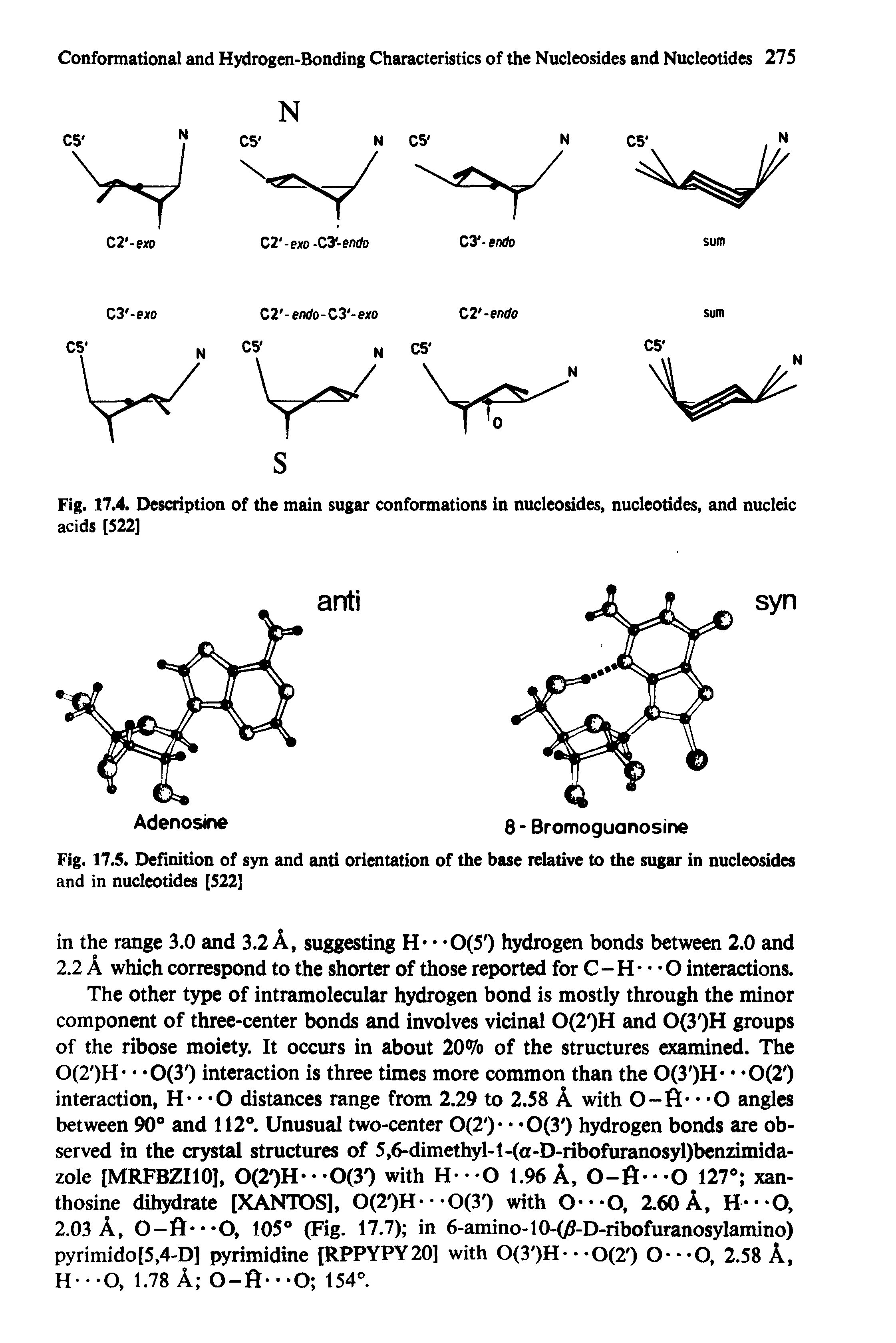 Fig. 17.4. Description of the main sugar conformations in nucleosides, nucleotides, and nucleic acids [522]...