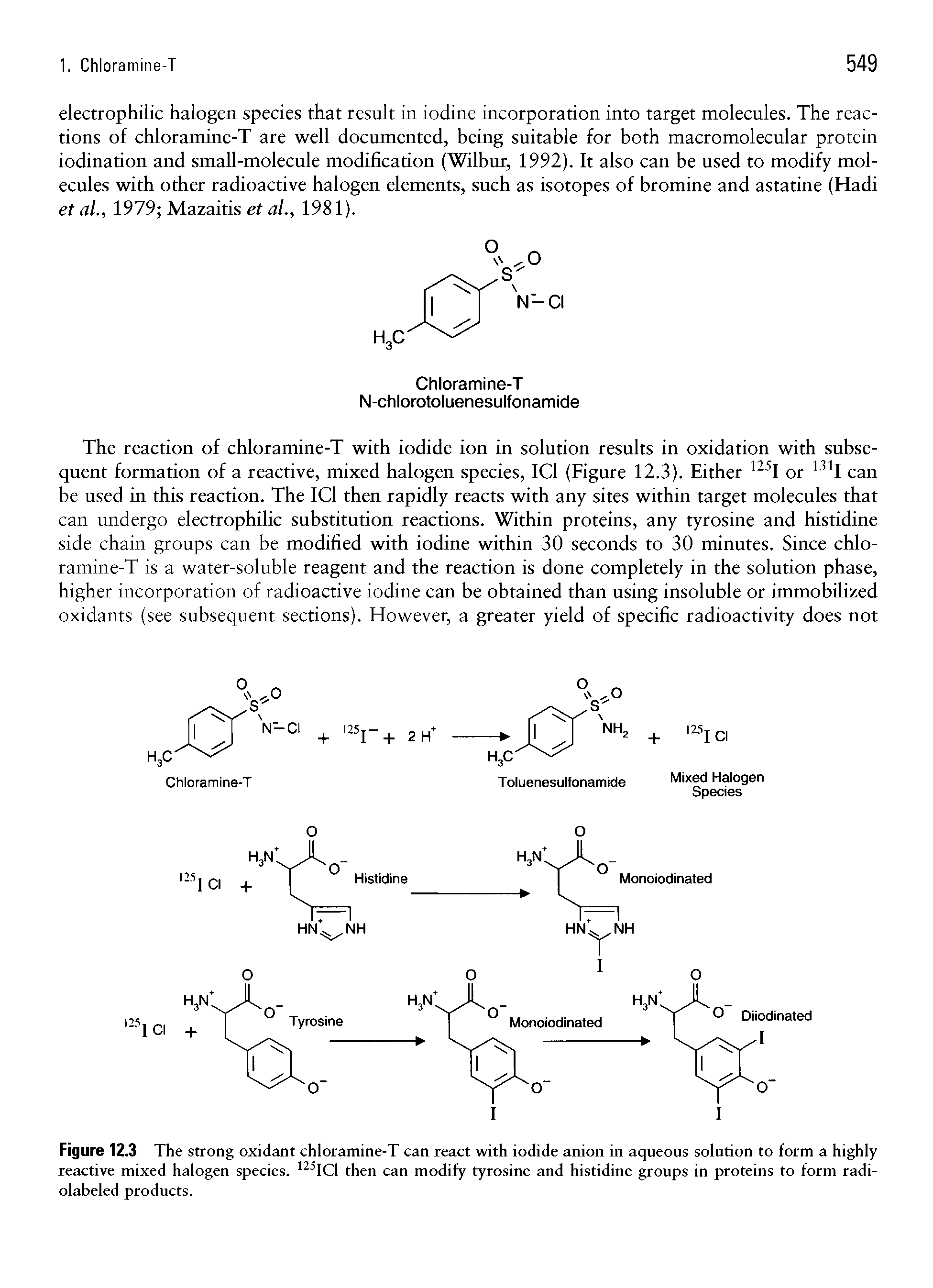 Figure 12.3 The strong oxidant chloramine-T can react with iodide anion in aqueous solution to form a highly reactive mixed halogen species. 125IC1 then can modify tyrosine and histidine groups in proteins to form radiolabeled products.