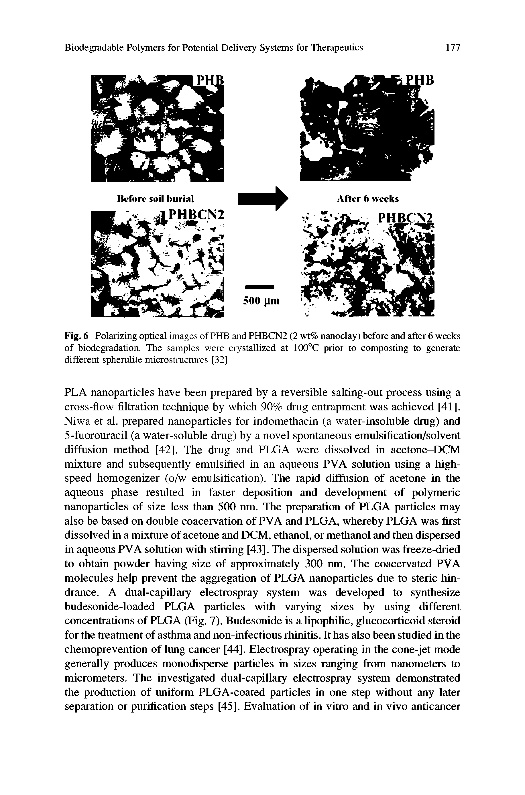 Fig. 6 Polarizing optical images of PHB and PHBCN2 (2 wt% nanoclay) before and after 6 weeks of biodegradation. The samples were crystallized at 100 C prior to composting to generate different spherulite microstructures [32]...