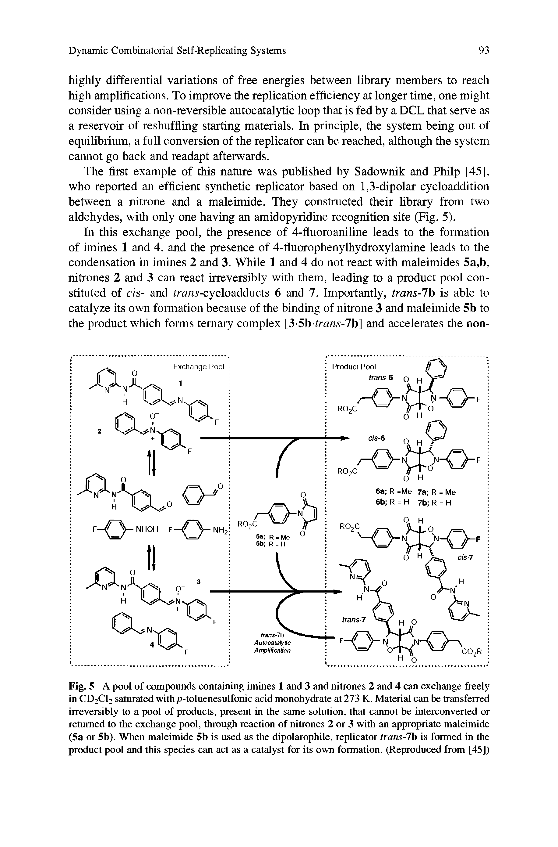 Fig. 5 A pool of compounds containing imines I and 3 and nitrones 2 and 4 can exchange freely in CD2C12 saturated with p-toluenesulfonic acid monohydrate at 273 K. Material can be transferred irreversibly to a pool of products, present in the same solution, that cannot be interconverted or returned to the exchange pool, through reaction of nitrones 2 or 3 with an appropriate maleimide (5a or 5b). When maleimide 5b is used as the dipolarophile, replicator trans-lb is formed in the product pool and this species can act as a catalyst for its own formation. (Reproduced from [45])...
