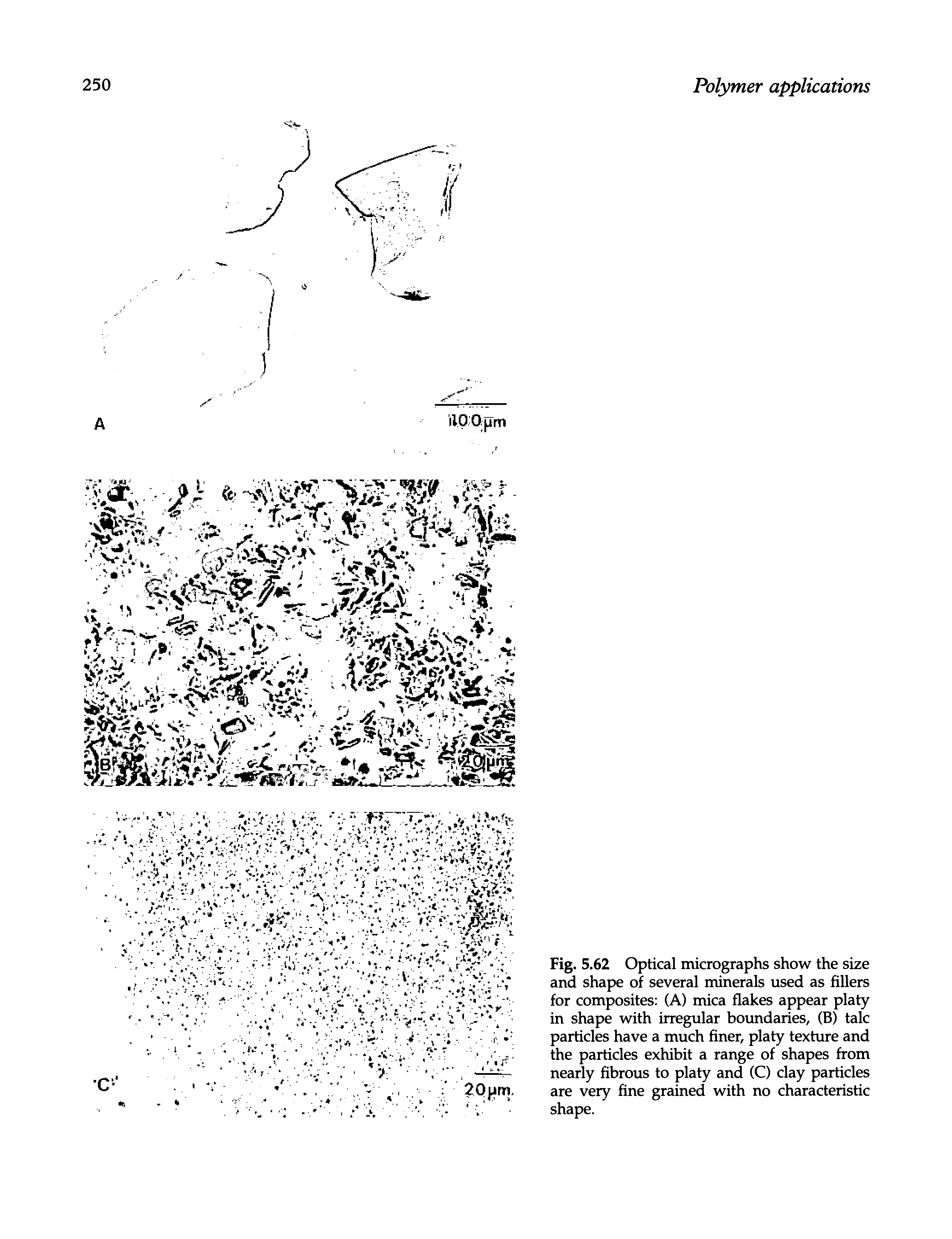 Fig. 5.62 Optical micrographs show the size and shape of several minerals used as fillers for composites (A) mica flakes appear platy in shape with irregular boundaries, (B) talc particles have a much finer, platy texture and the particles exhibit a range of shapes from nearly fibrous to platy and (C) clay particles are very fine grained with no characteristic shape.