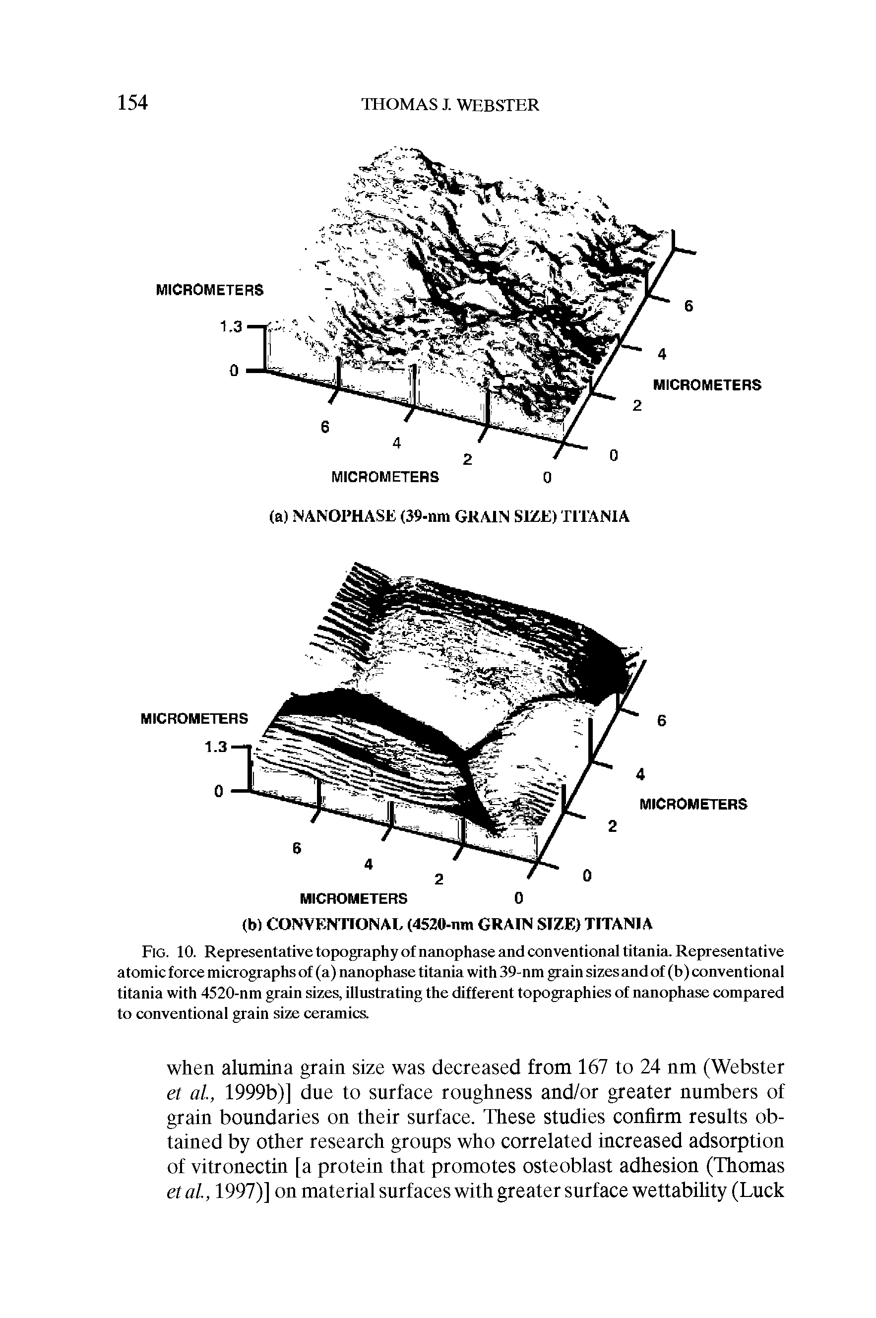 Fig. 10. Representative topography of nanophase and conventional titania. Representative atomic force micrographs of (a) nanophase titania with 39-nm grain sizes and of (b) conventional titania with 4520-nm grain sizes, illustrating the different topographies of nanophase compared to conventional grain size ceramics.