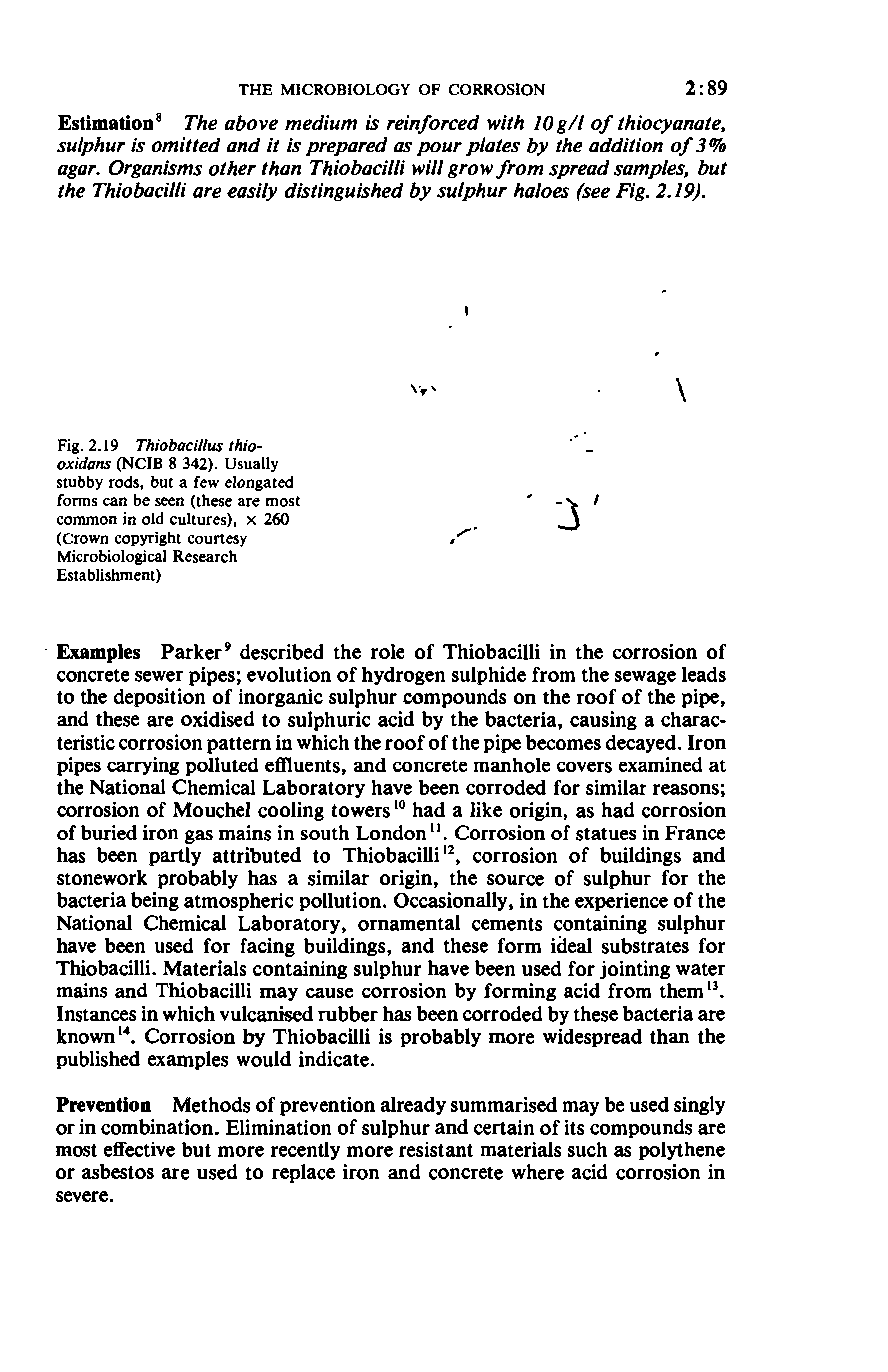 Fig. 2.19 Thiobacillus thio-oxidans (NCIB 8 342). Usually stubby rods, but a few elongated forms can be seen (these are most common in old cultures), x 260 (Crown copyright courtesy Microbiological Research Establishment)...