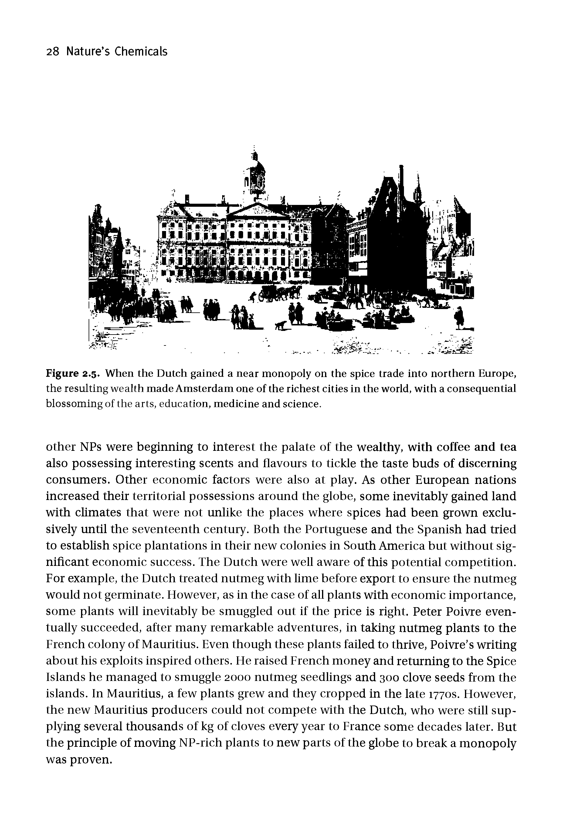 Figure 2.5. When the Dutch gained a near monopoly on the spice trade into northern Europe, the resulting wealth made Amsterdam one of the richest cities in the world, with a consequential blossoming of the arts, education, medicine and science.