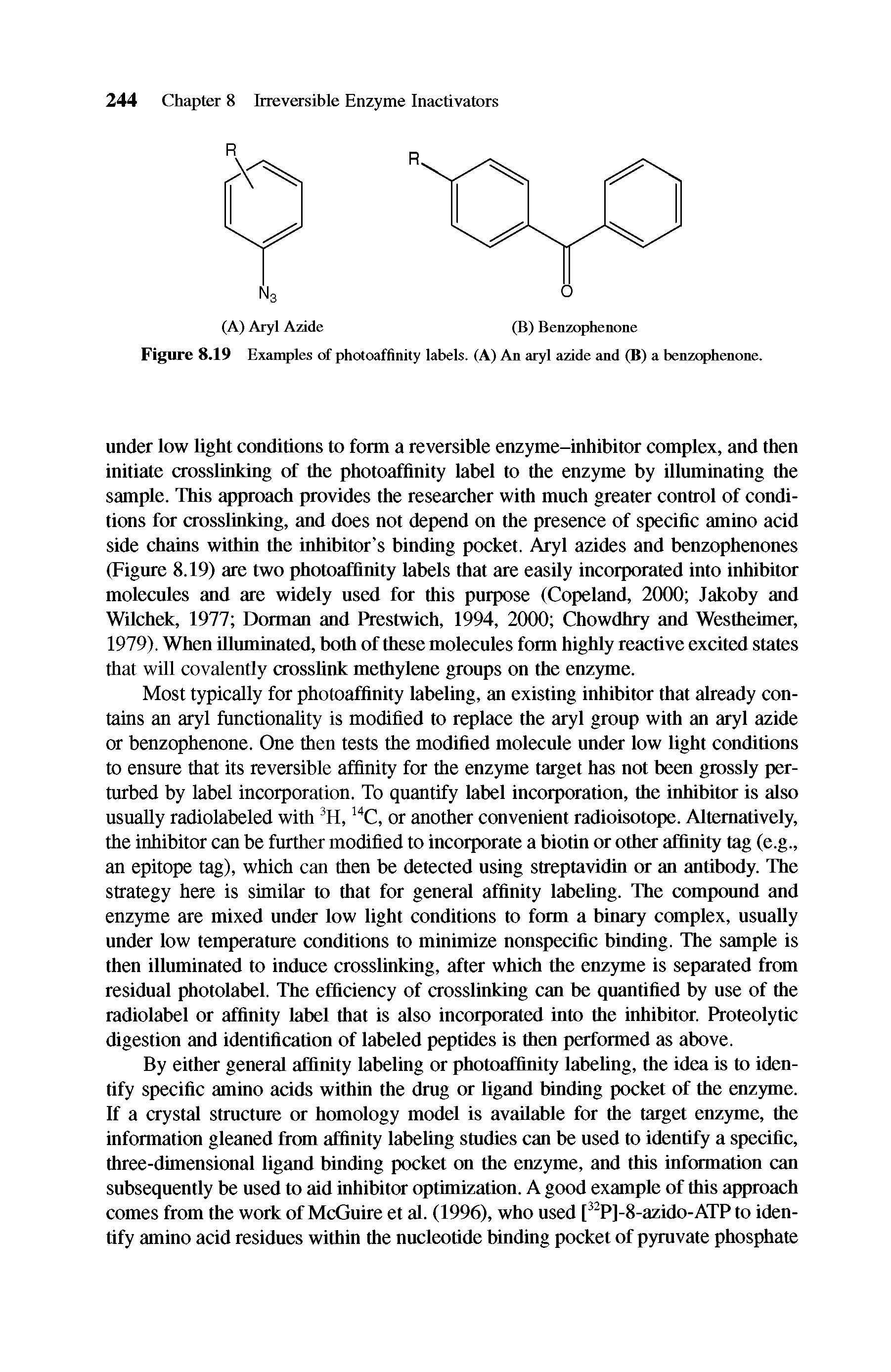 Figure 8.19 Examples of photoaffinity labels. (A) An aryl azide and (B) a benzophenone.