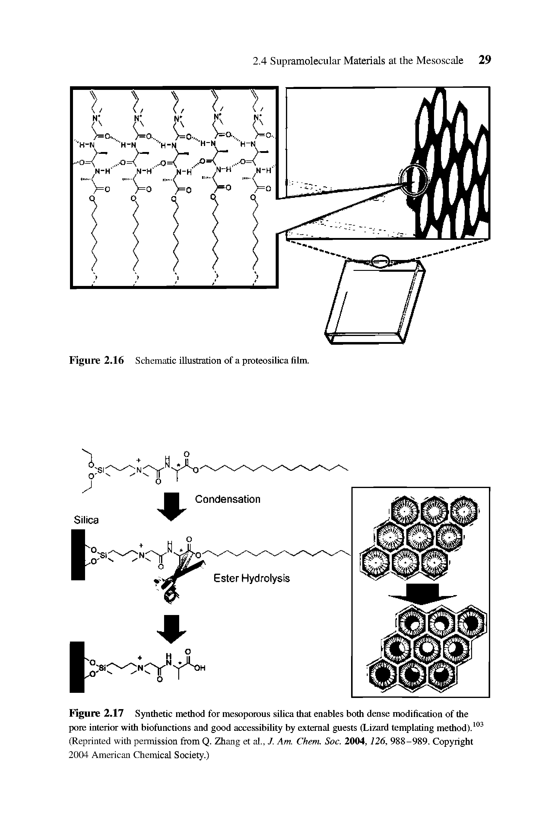 Figure 2.17 Synthetic method for mesoporous silica that enables both dense modification of the pore interior with biofunctions and good accessibility by external guests (Lizard templating method).103...