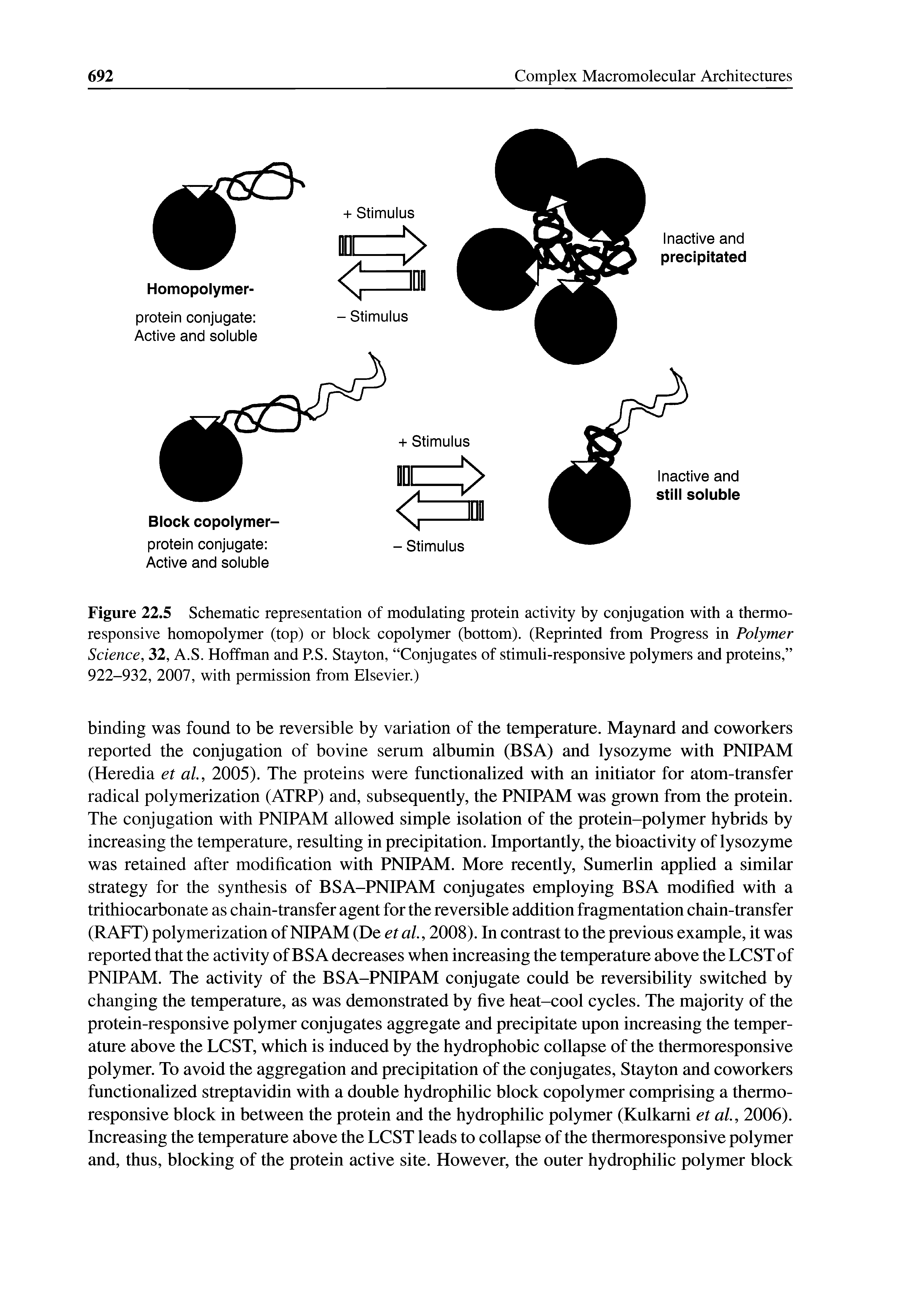 Figure 22.5 Schematic representation of modulating protein activity by conjugation with a thermo-responsive homopolymer (top) or block copolymer (bottom). (Reprinted from Progress in Polymer Science, 32, A.S. Hoffman and P.S. Stayton, Conjugates of stimuli-responsive polymers and proteins, 922-932, 2007, with permission from Elsevier.)...