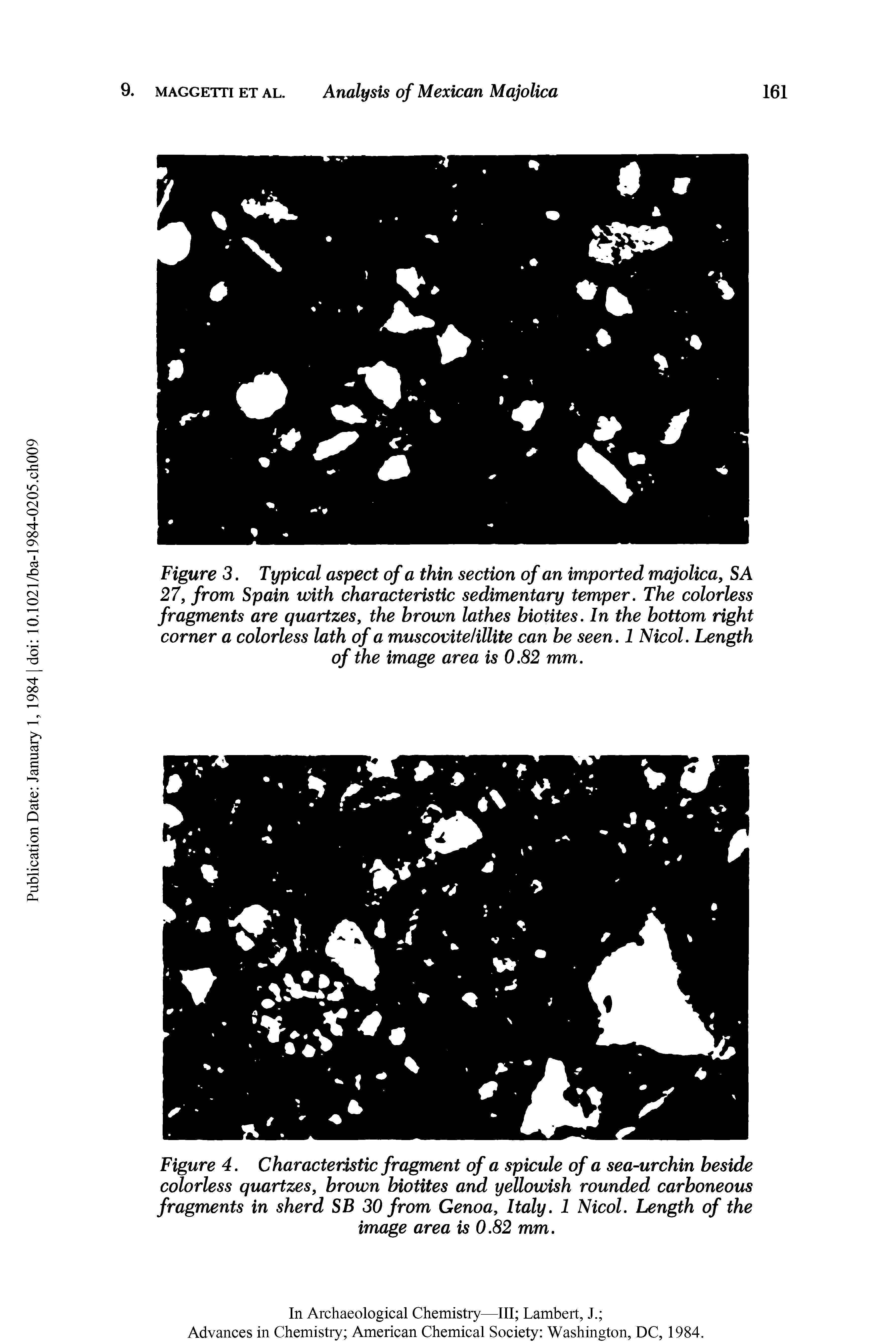 Figure 3. Typical aspect of a thin section of an imported majolica, SA 27, from Spain with characteristic sedimentary temper. The colorless fragments are quartzes, the brown lathes biotites. In the bottom right corner a colorless lath of a muscovite illite can be seen. 1 Nicol. Length of the image area is 0.82 mm.