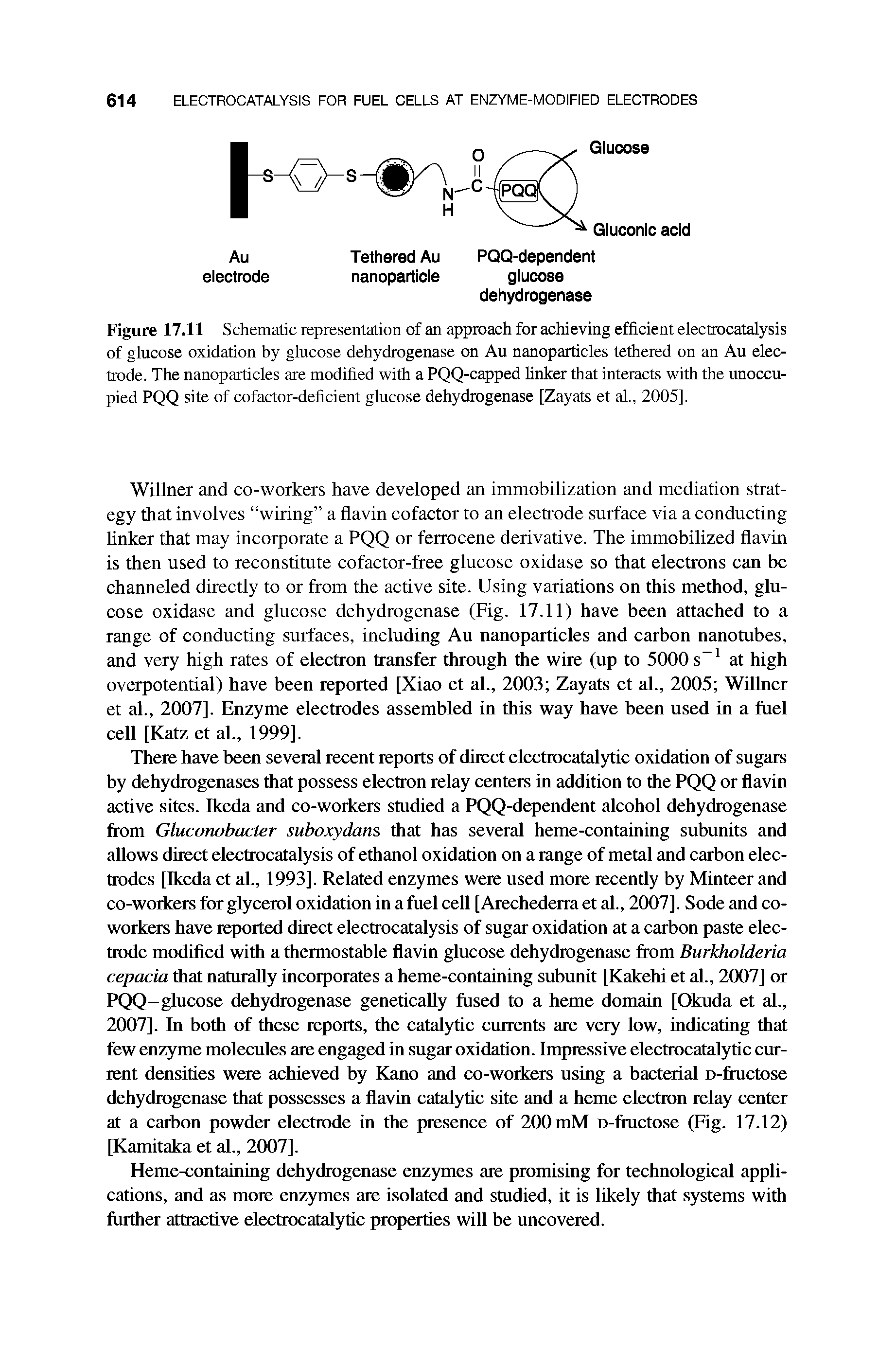 Figure 17.11 Schematic representation of an approach for achieving efficient electrocatalysis of glucose oxidation by glucose dehydrogenase on Au nanoparticles tethered on an Au electrode. The nanoparticles are modified with a PQQ-capped linker that interacts with the unoccupied PQQ site of cofactor-deficient glucose dehydrogenase [Zayats et al., 2005].