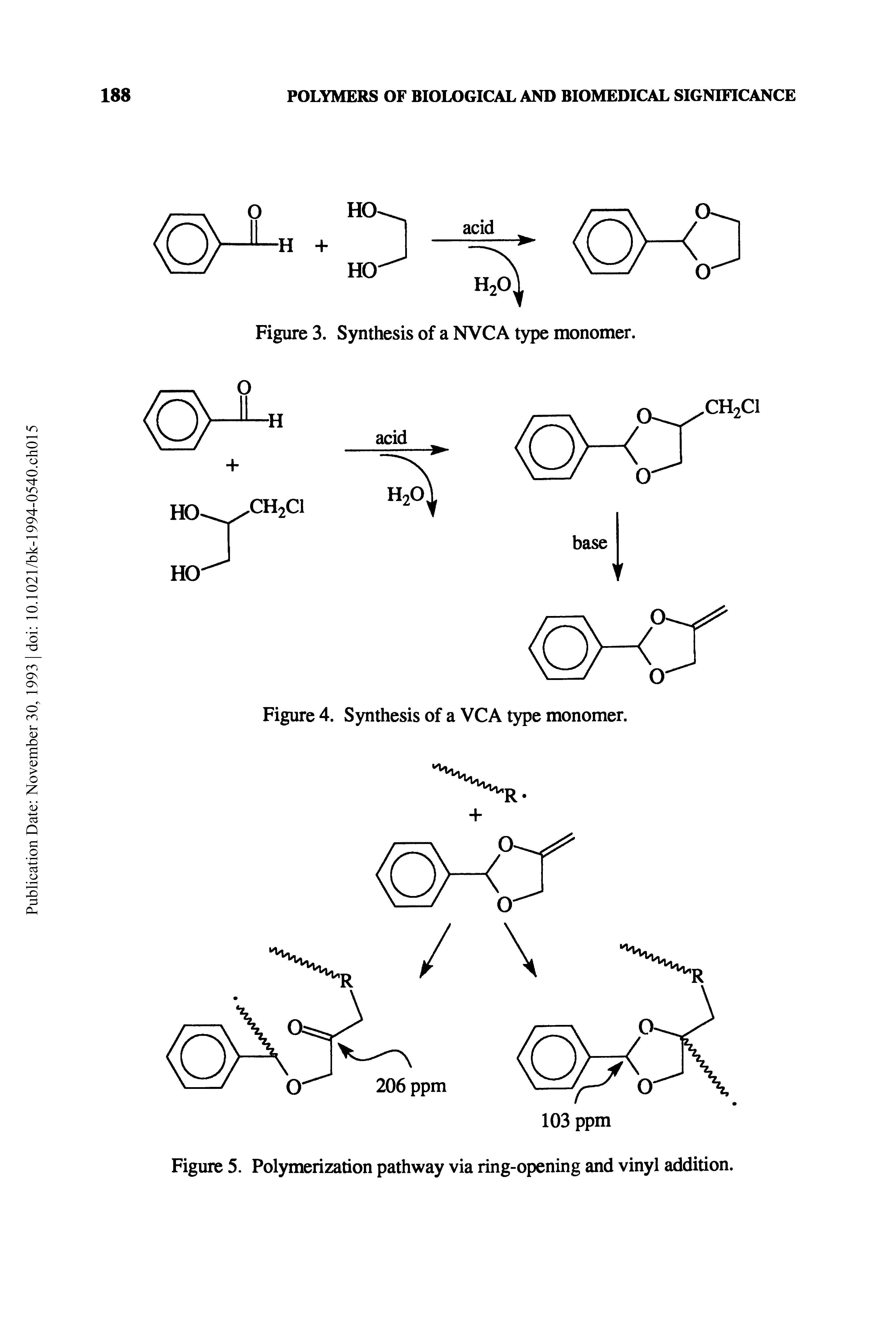 Figure 5. Polymerization pathway via ring-opening and vinyl addition.